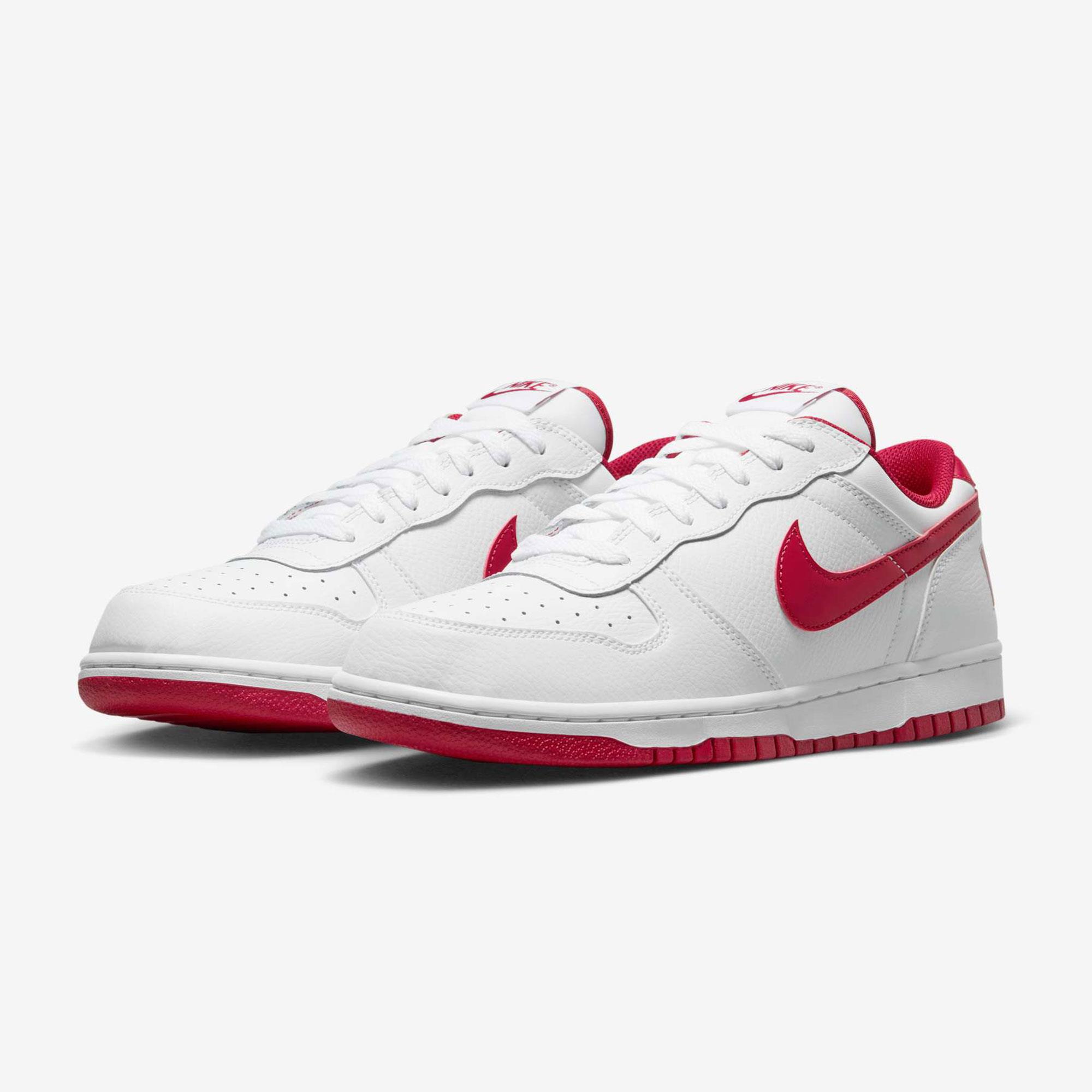 BIG NIKE LOW - BAKIR
