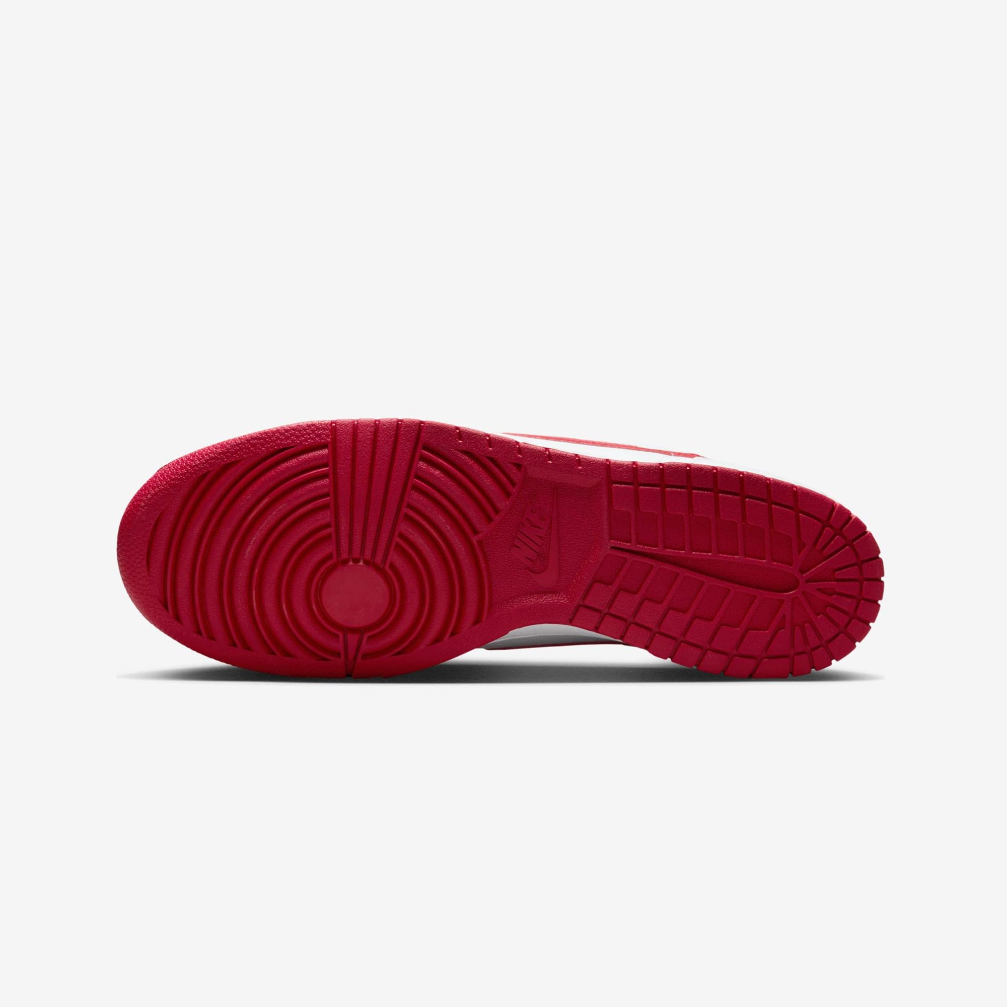 BIG NIKE LOW - BAKIR