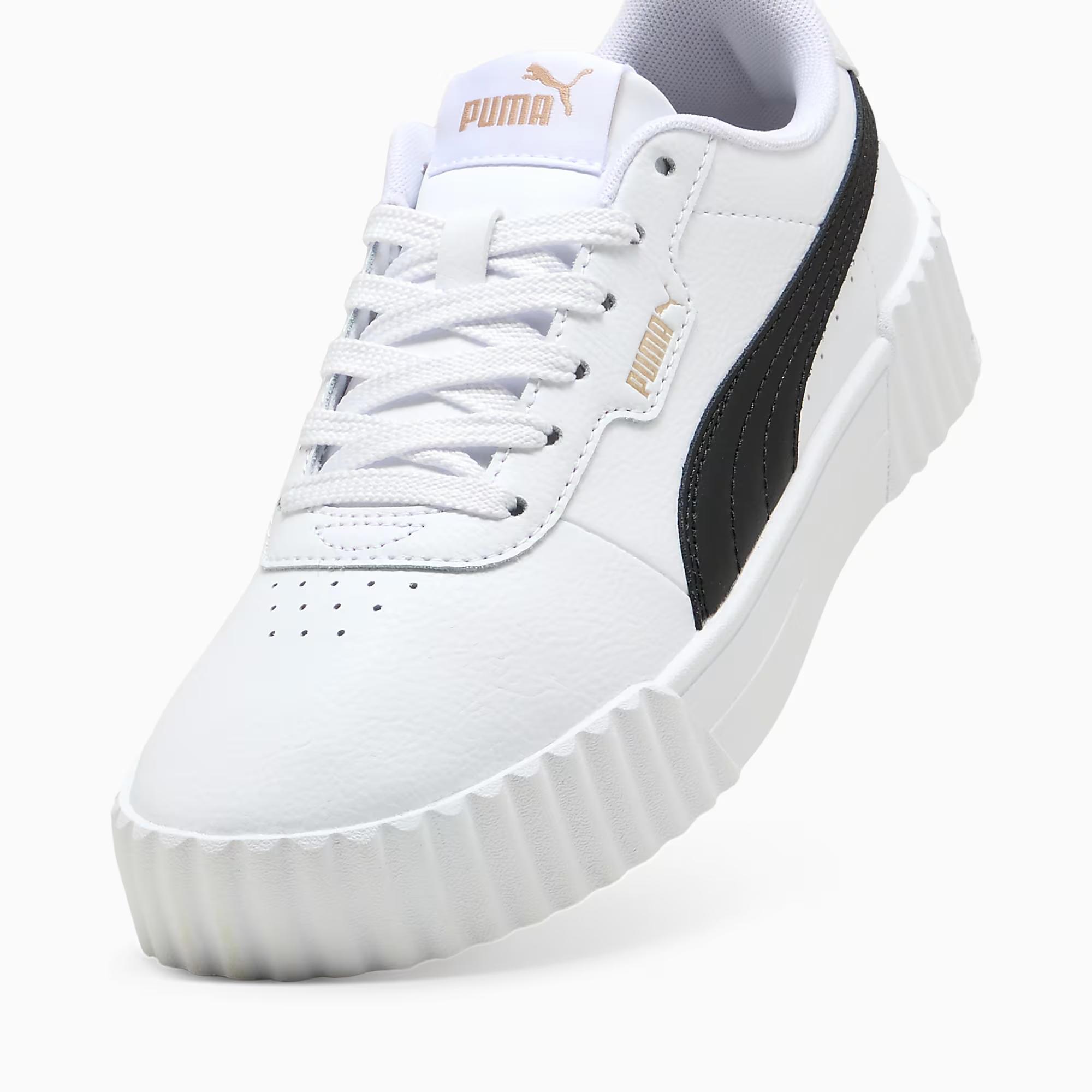 Carina 3.0 - PUMA 03