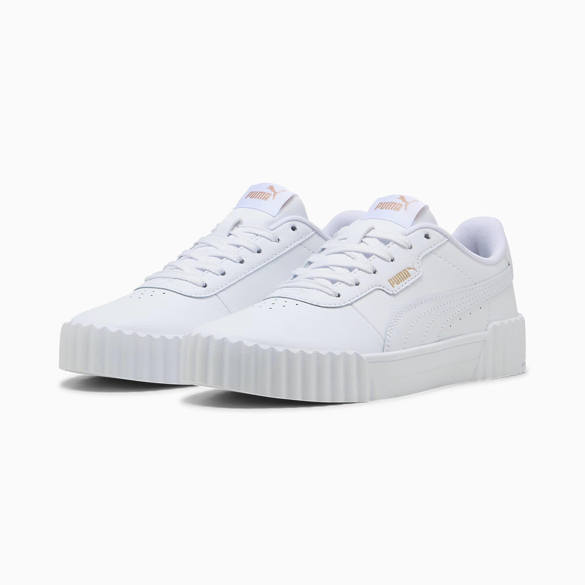 Carina 3.0 - PUMA 01