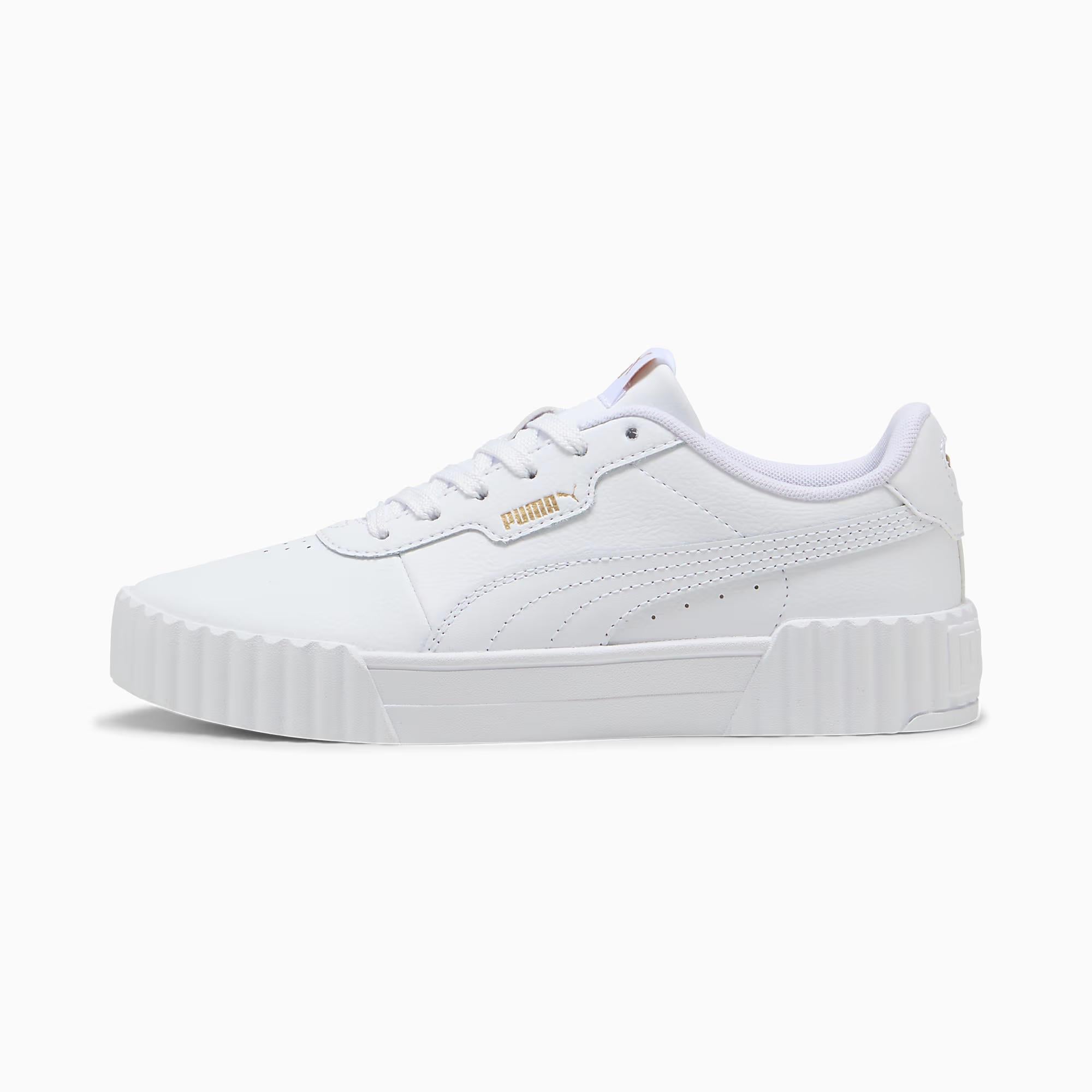 Carina 3.0 - PUMA 01