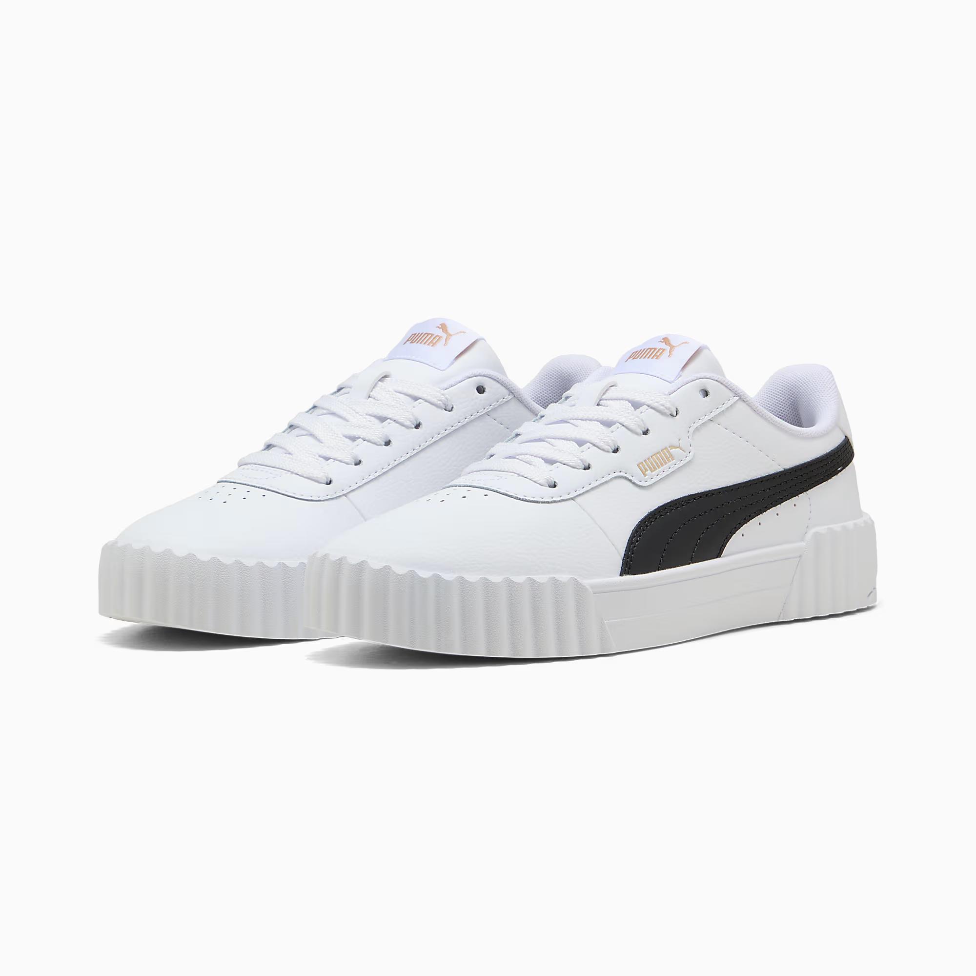 Carina 3.0 - PUMA 03