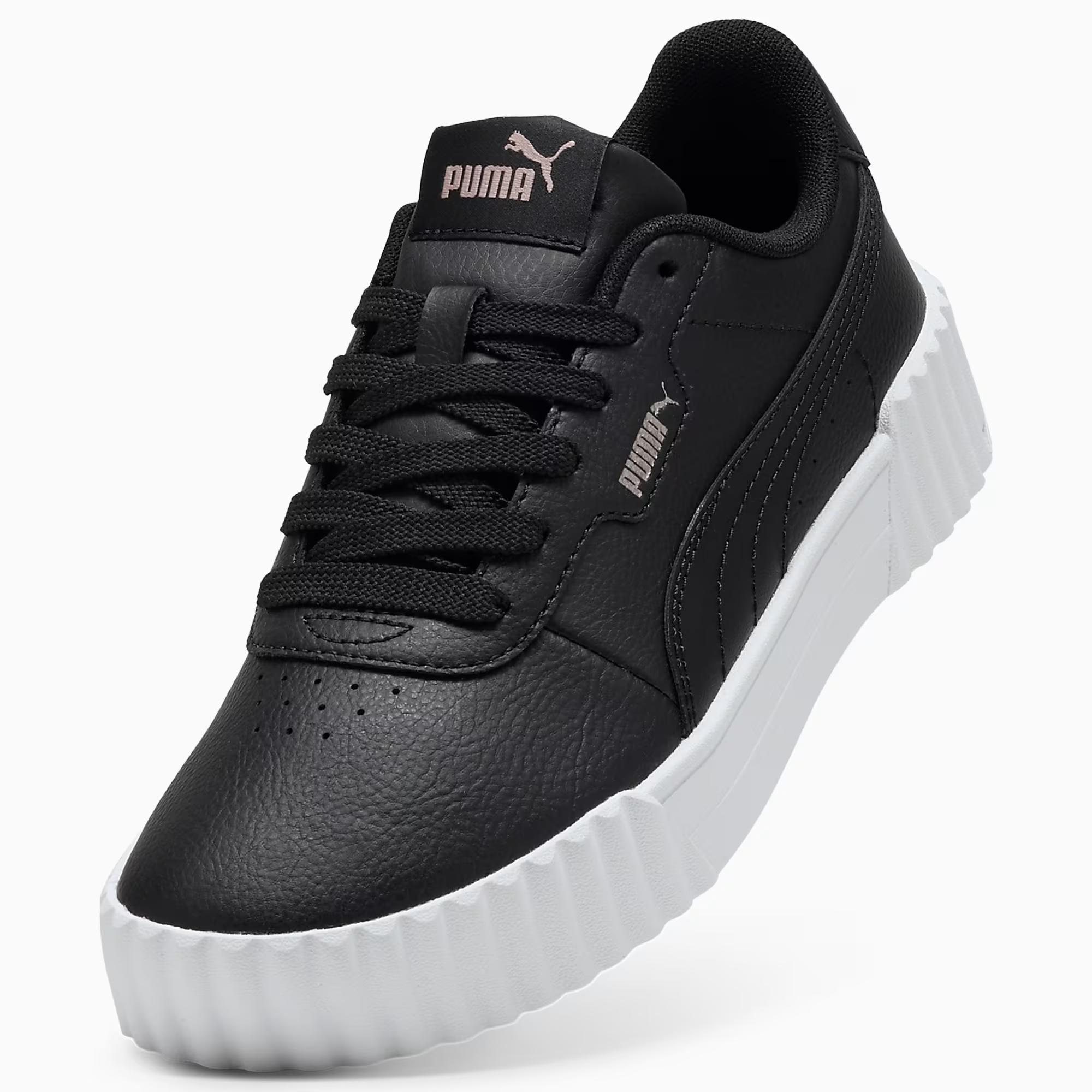 Carina 3.0 - PUMA 20