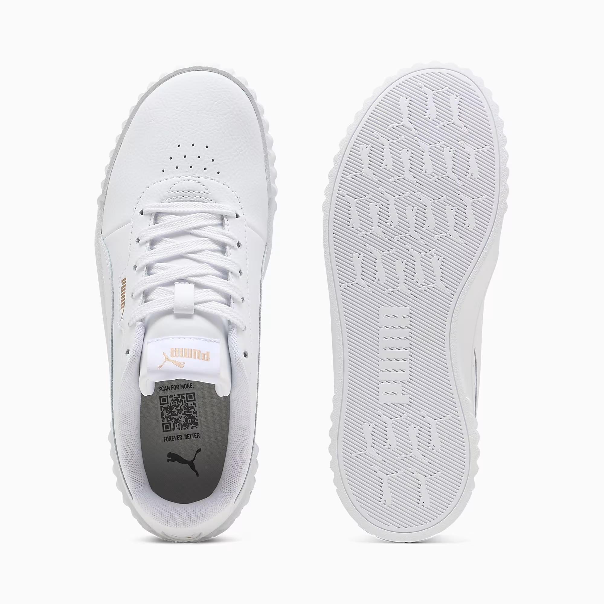 Carina 3.0 - PUMA 01
