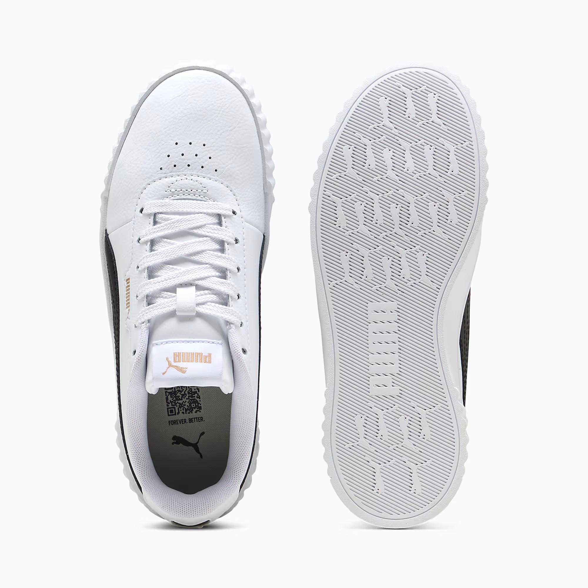 Carina 3.0 - PUMA 03