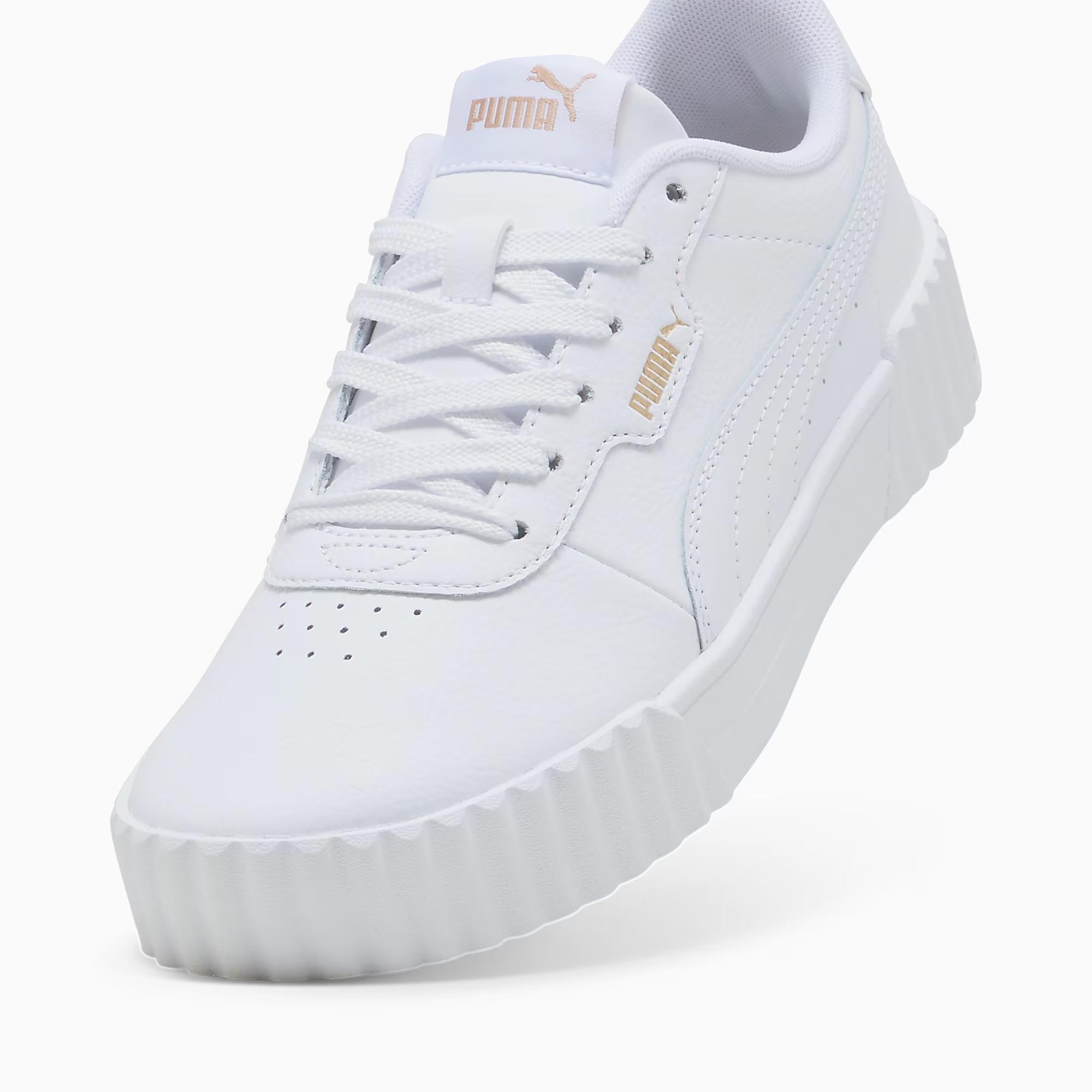 Carina 3.0 - PUMA 01