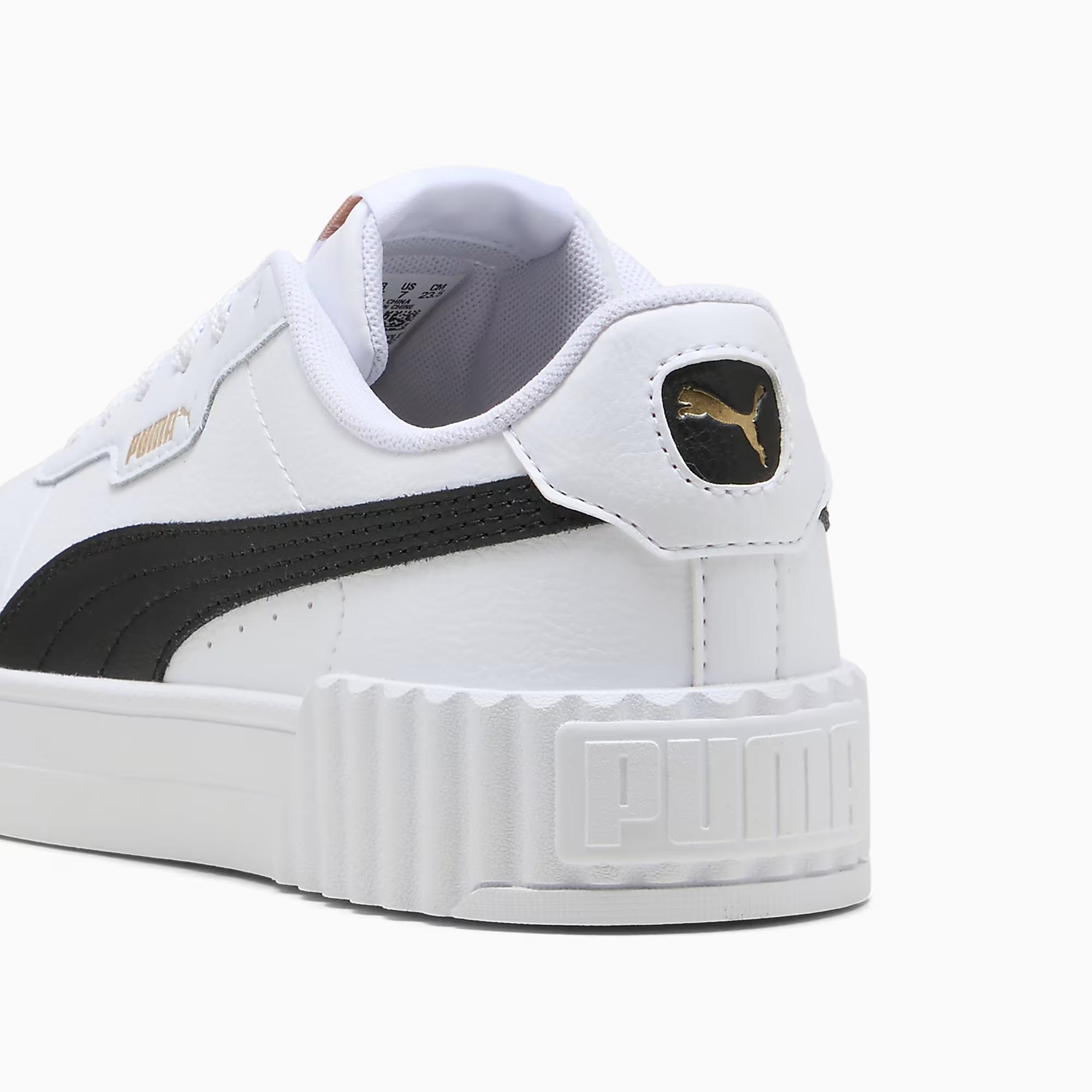 Carina 3.0 - PUMA 03