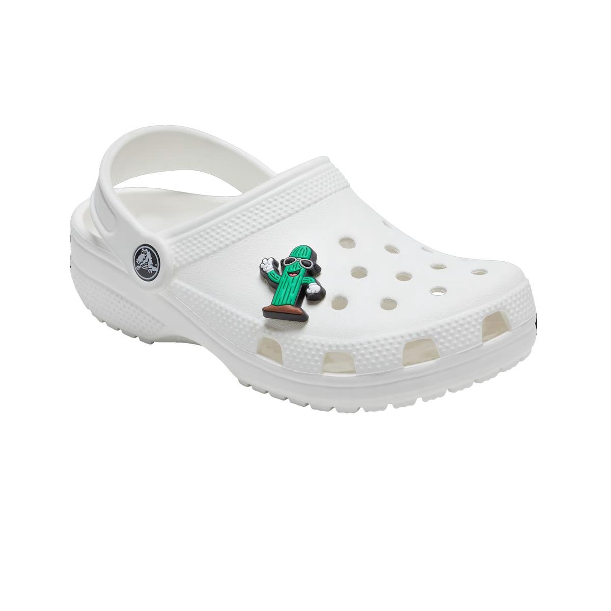 CROCS CACTUS DUDE AKSESUAR - STANDART RENK