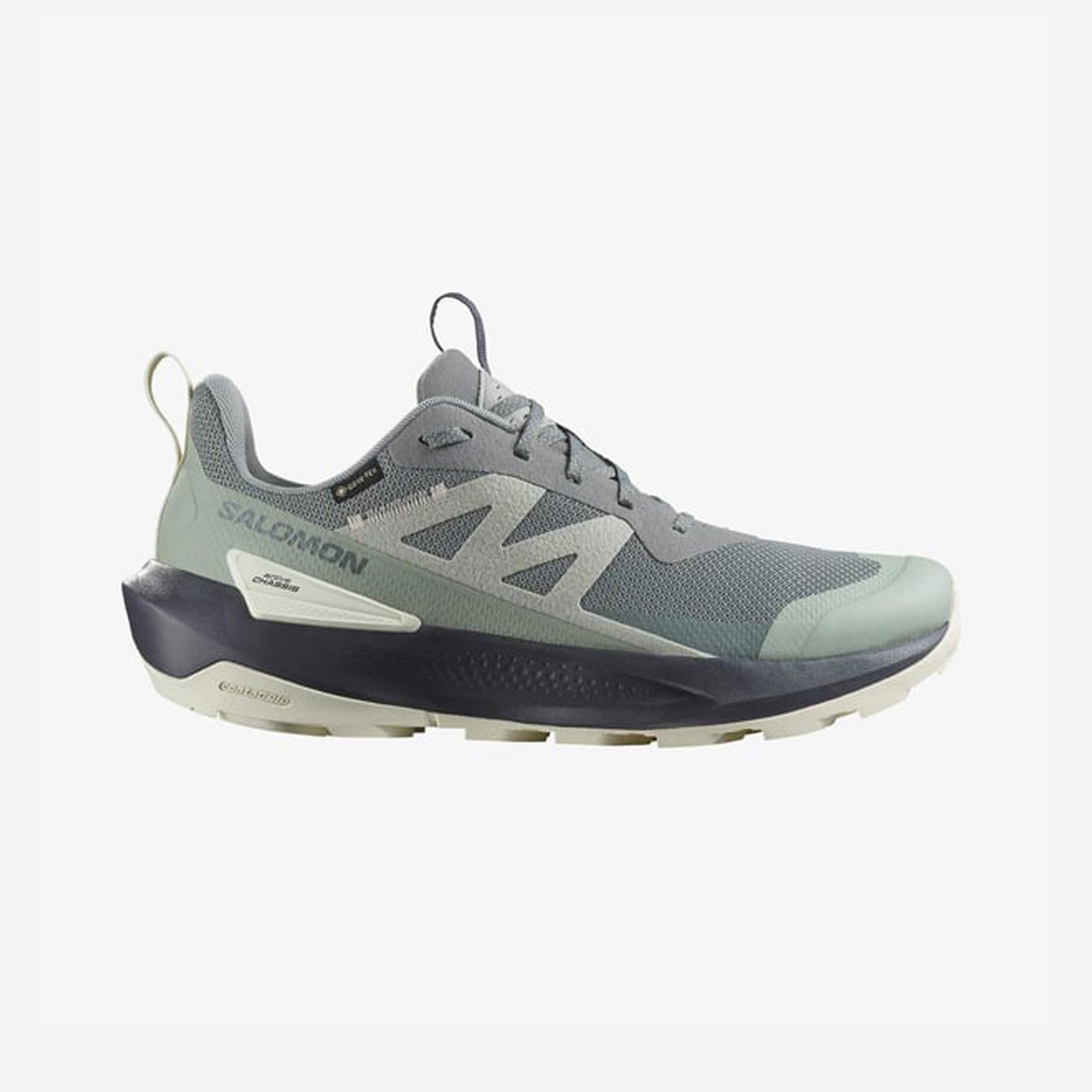 Salomon Gri Salomon Elixir Activ Goretex