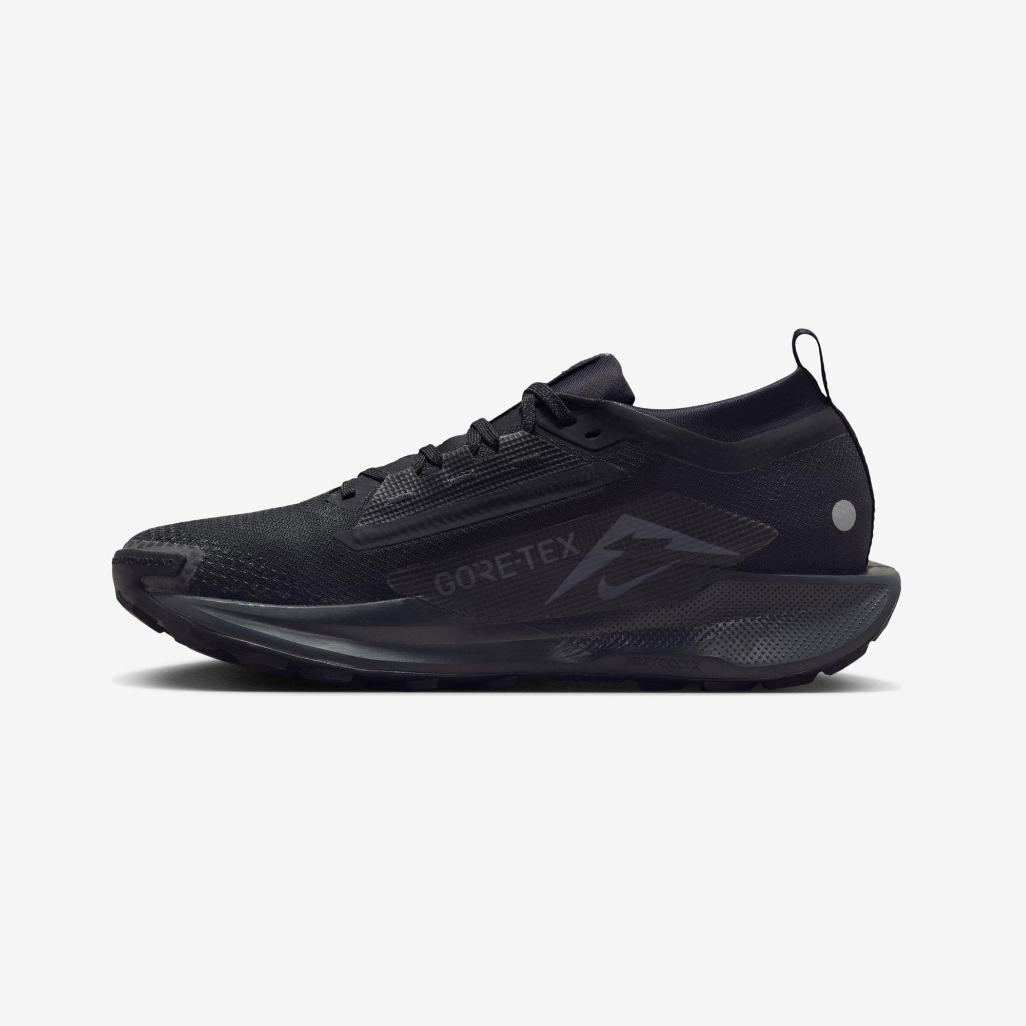 NIKE PEGASUS TRAIL 5 GTX - FÜME
