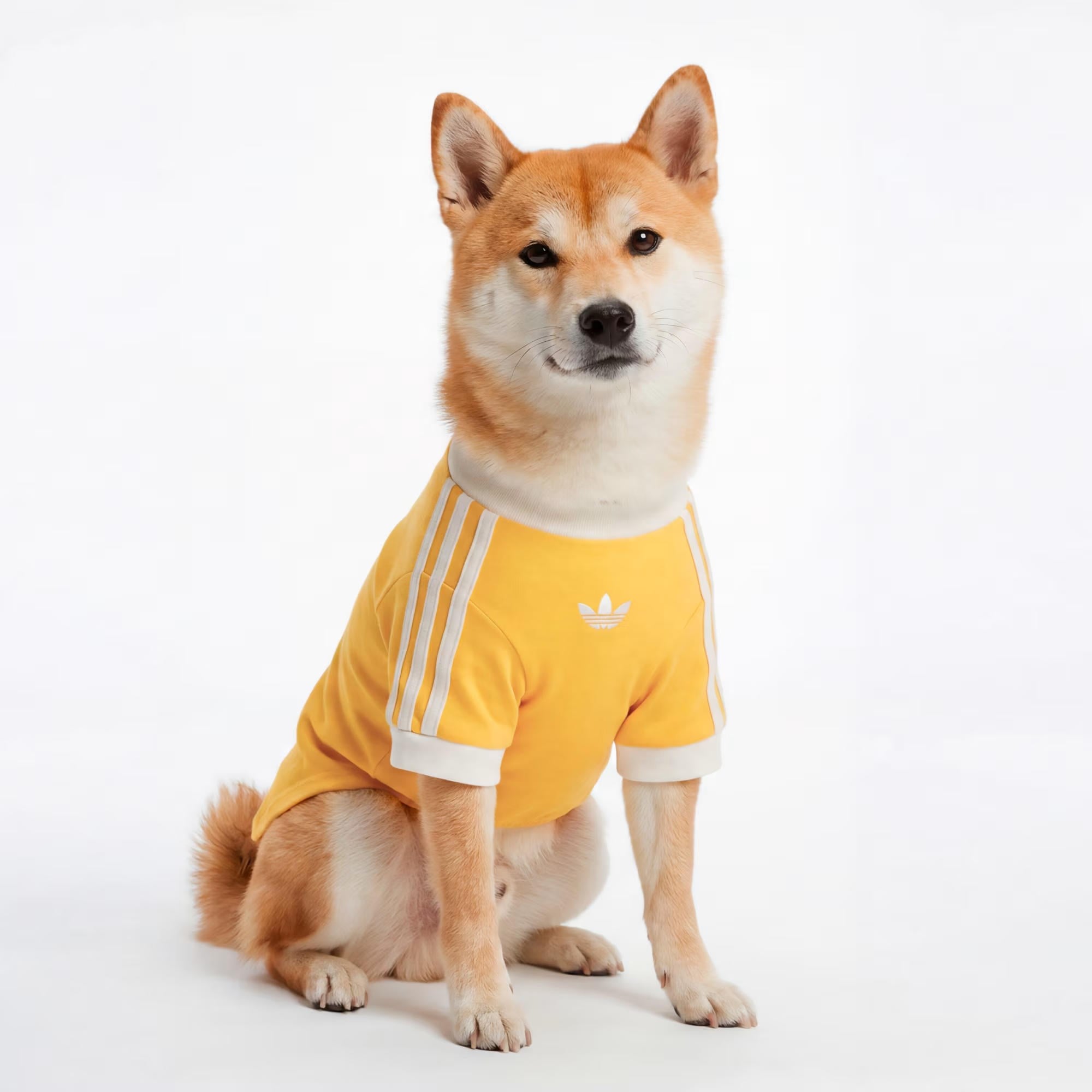 PET CALI TEE - ADIDAS SIYAH