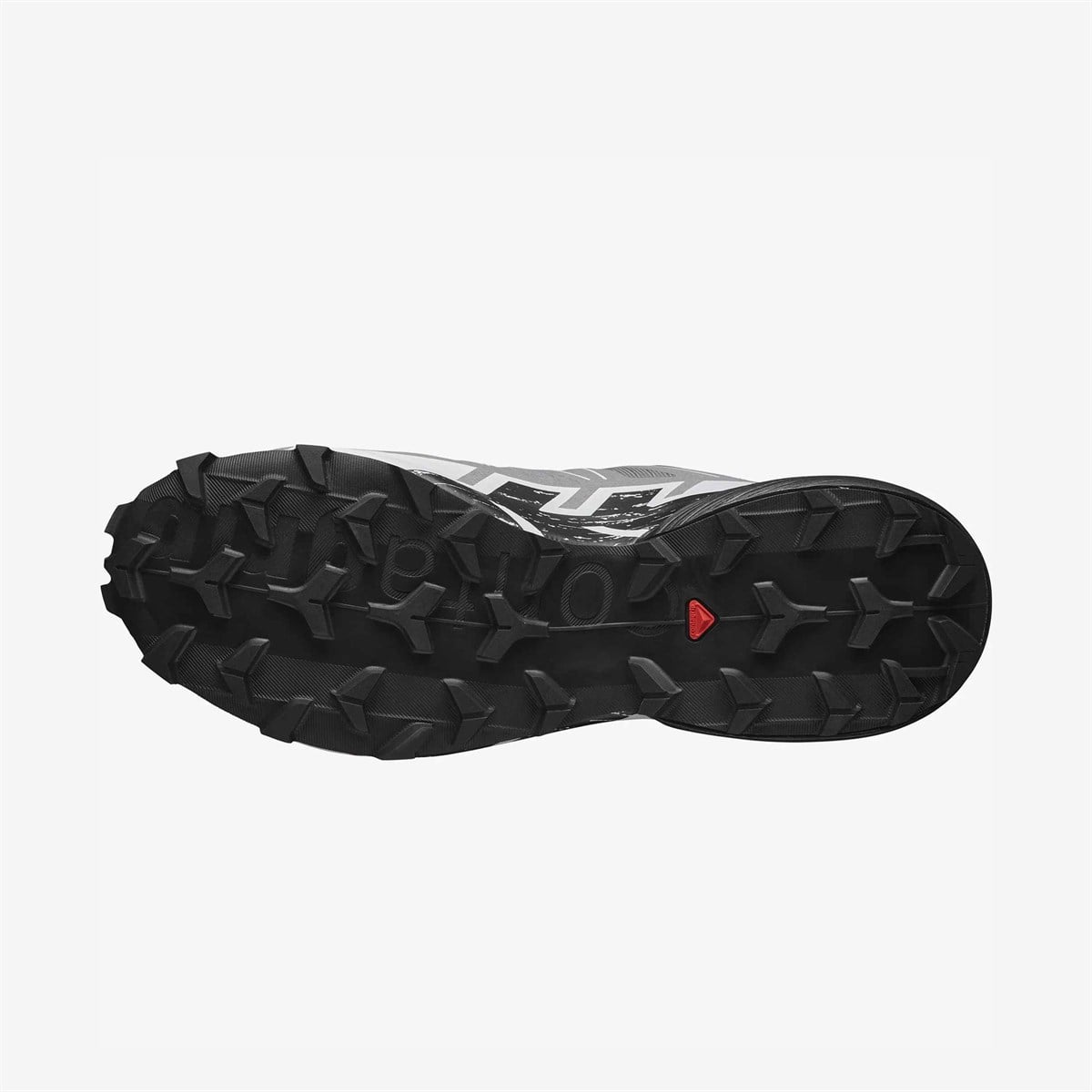 Salomon Gri Salomon Speedcross 6