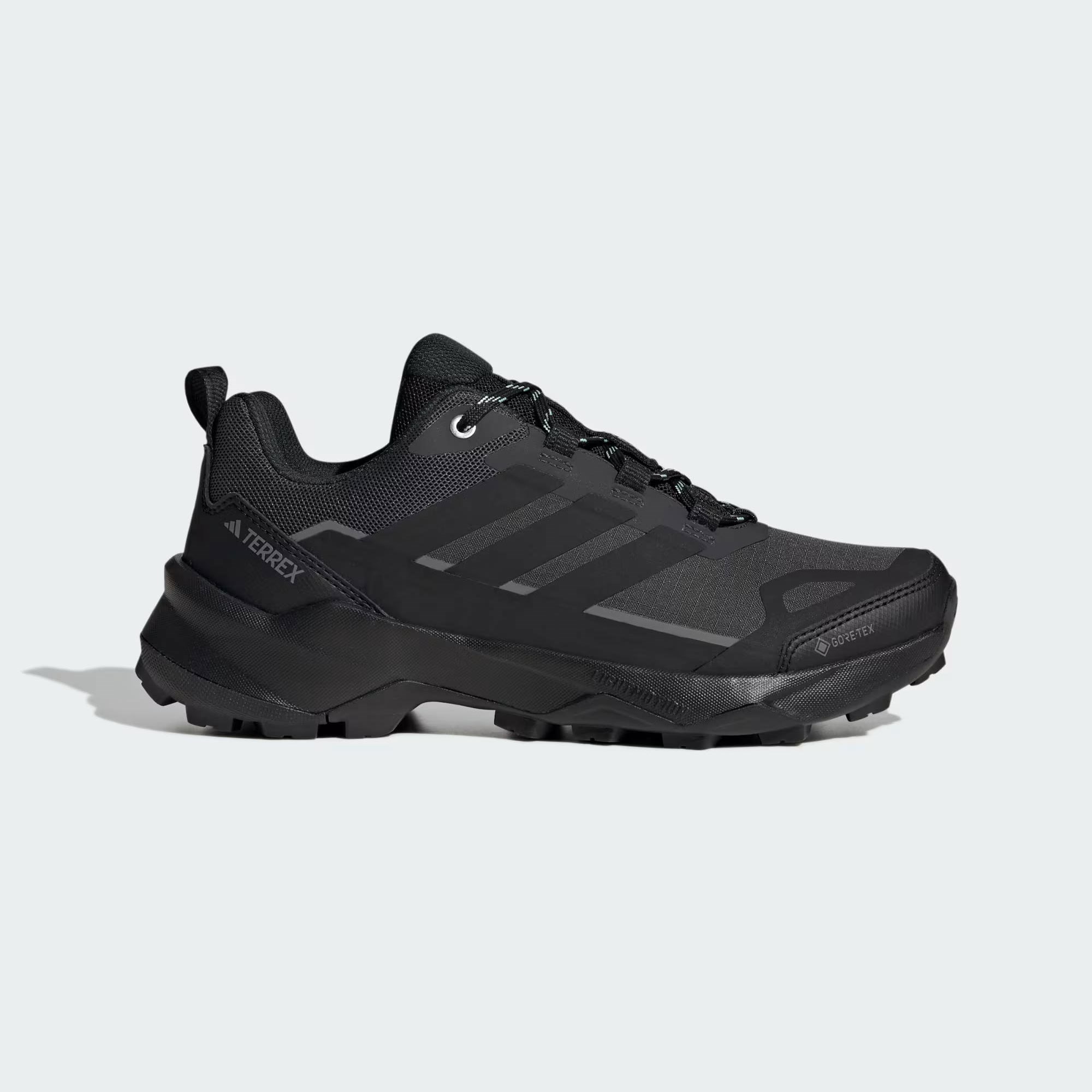TERREX SKYCHASER AX5 GTX W - ADIDAS SIYAH