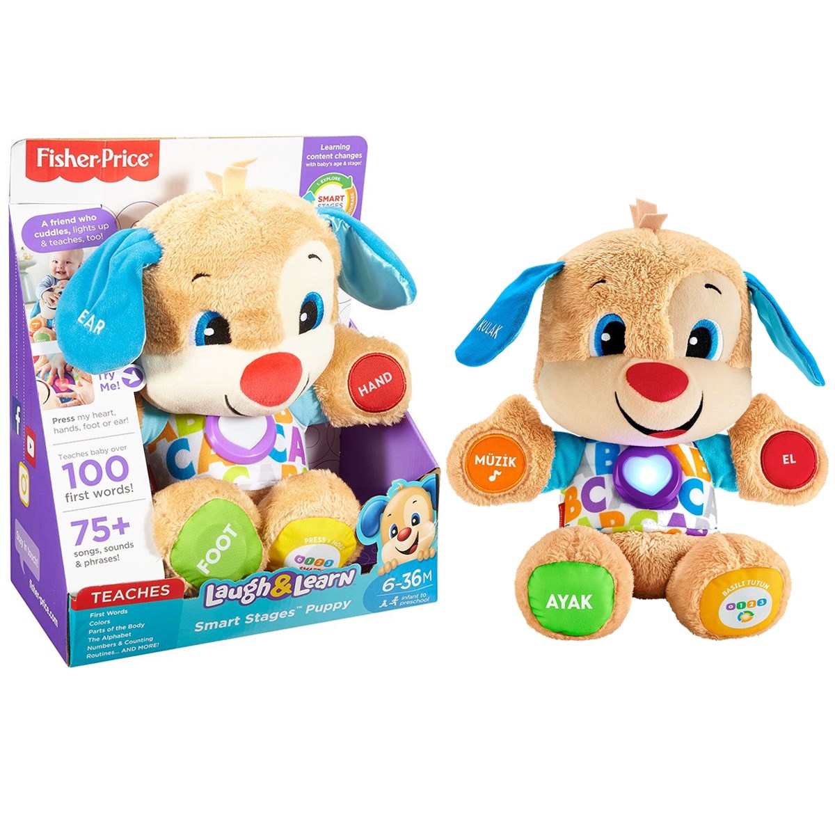 Fisher Price Eğitici Köpekçik Yaşa Göre Gelişim