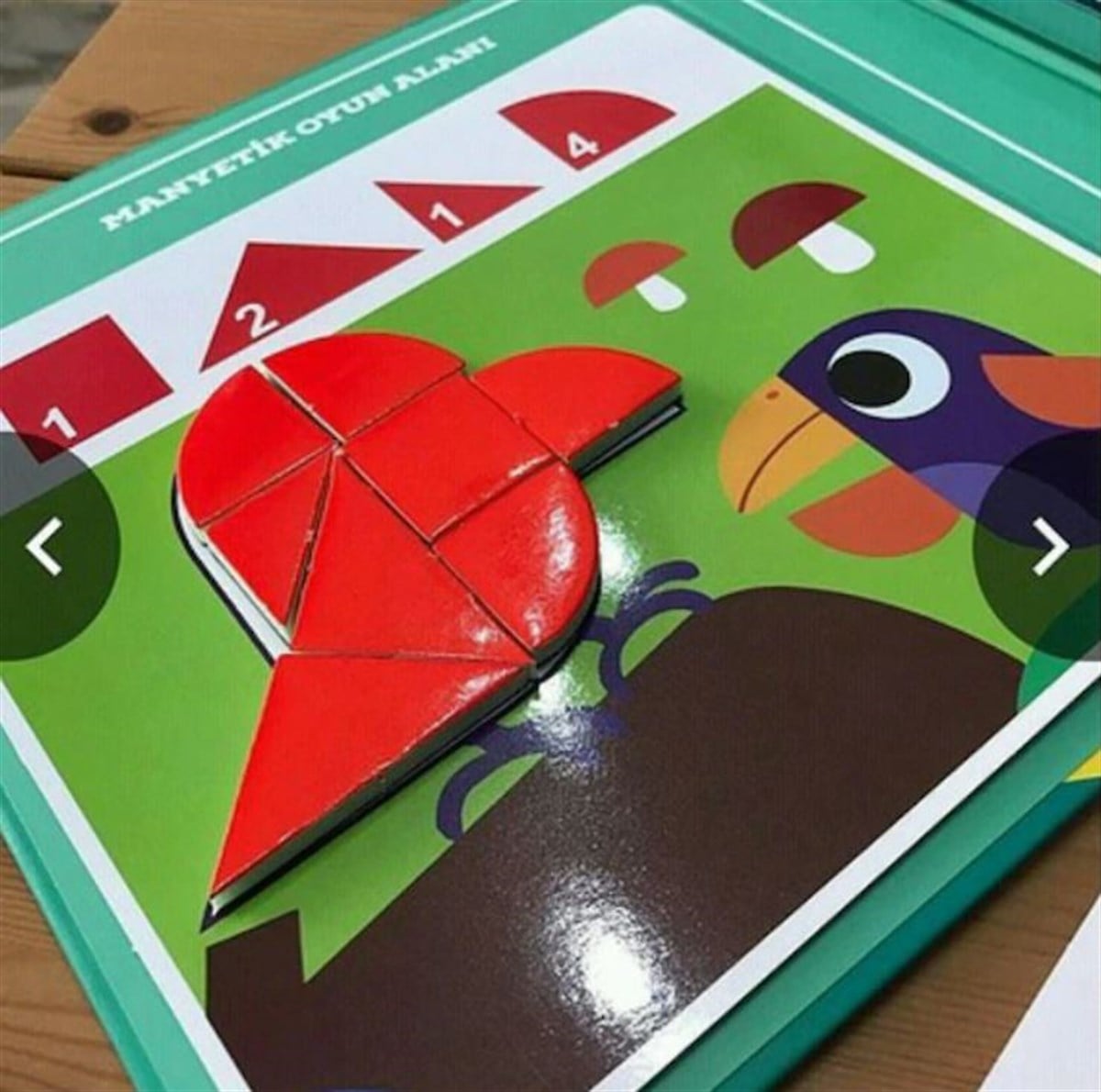 Manyetik Tangram Aktivite Kutusu