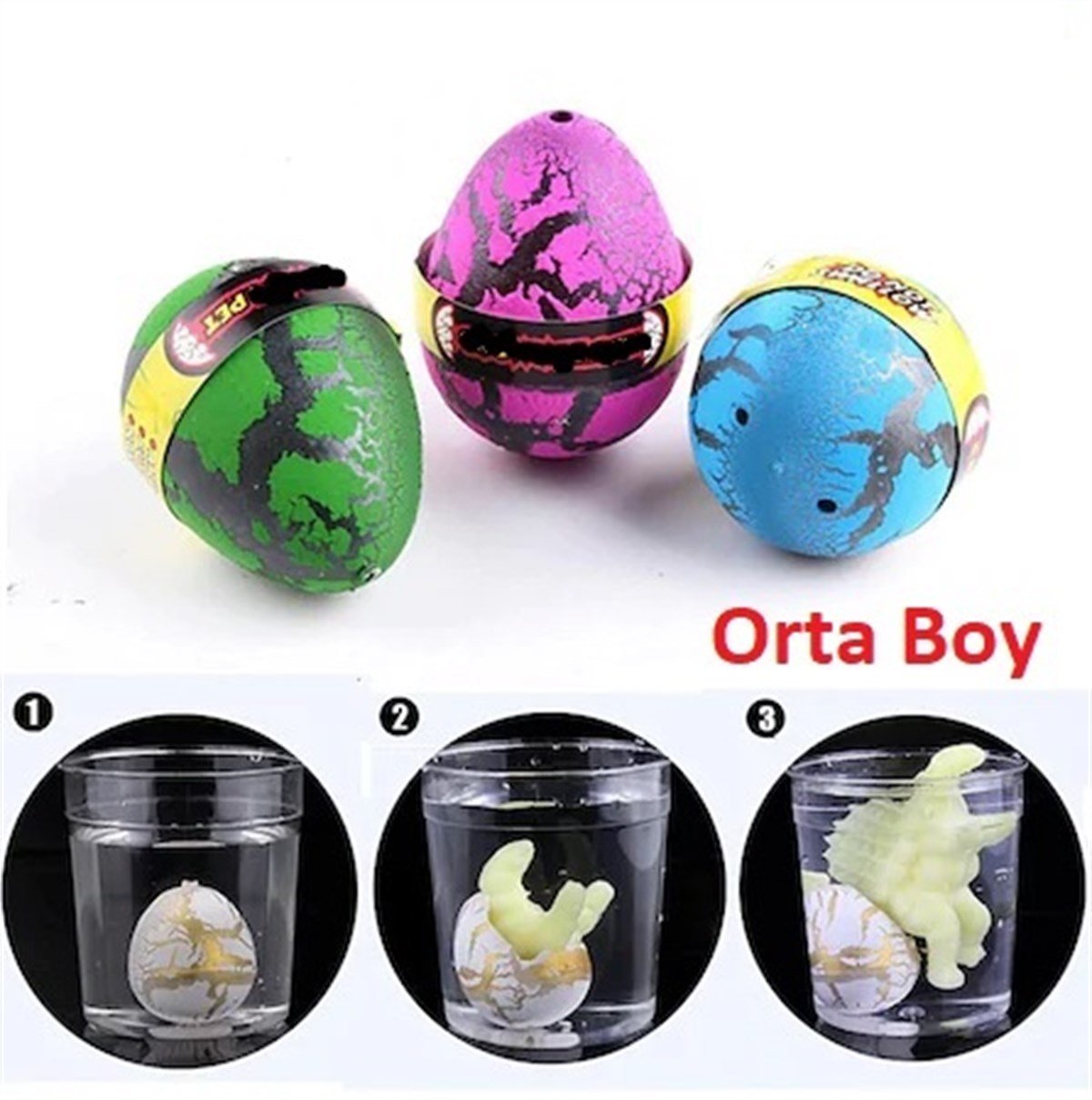 Suda Büyüyen Dinozor Yumurtası Orta Boy