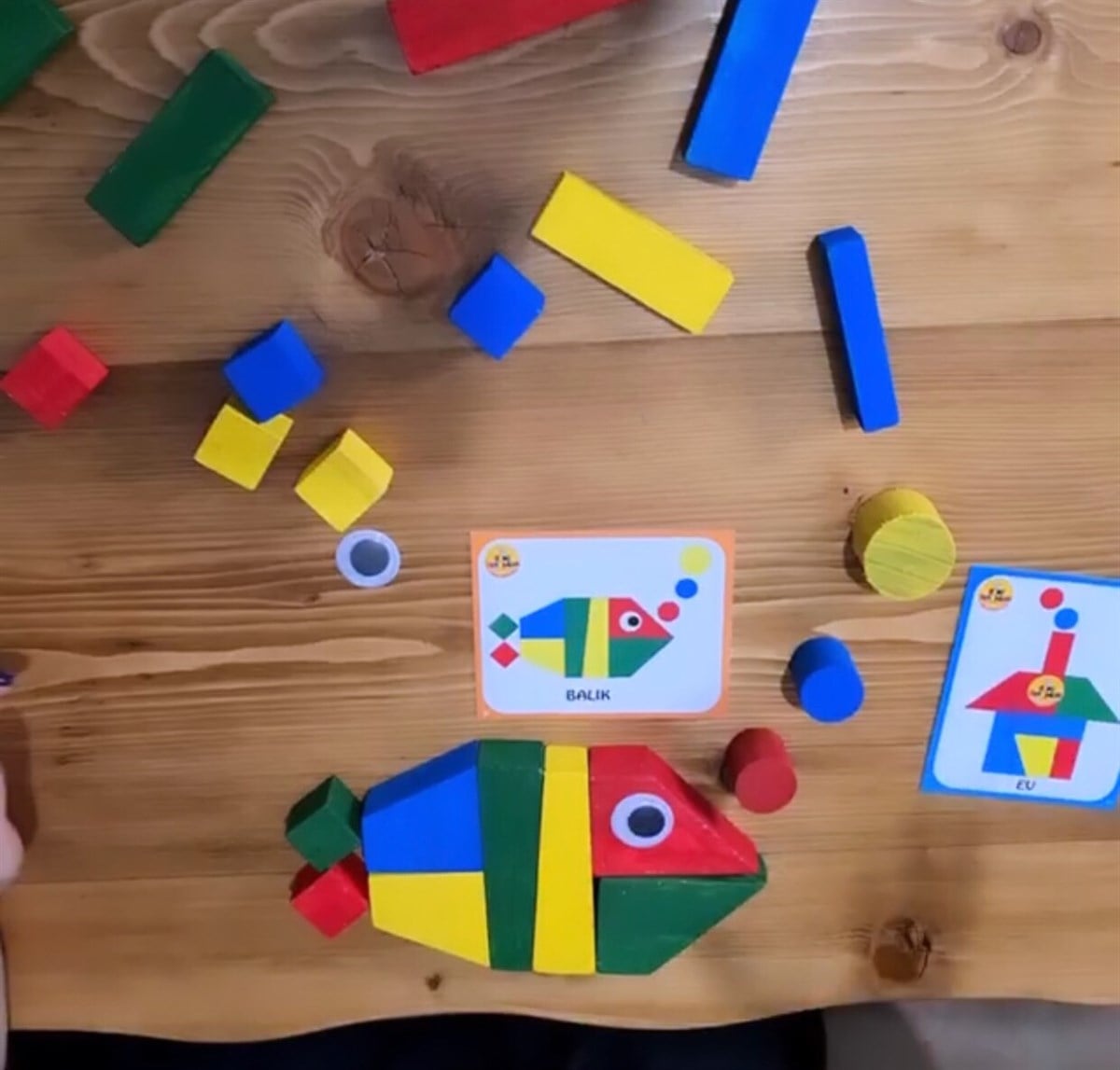 Zeki Ahşap Bloklar & Boyama