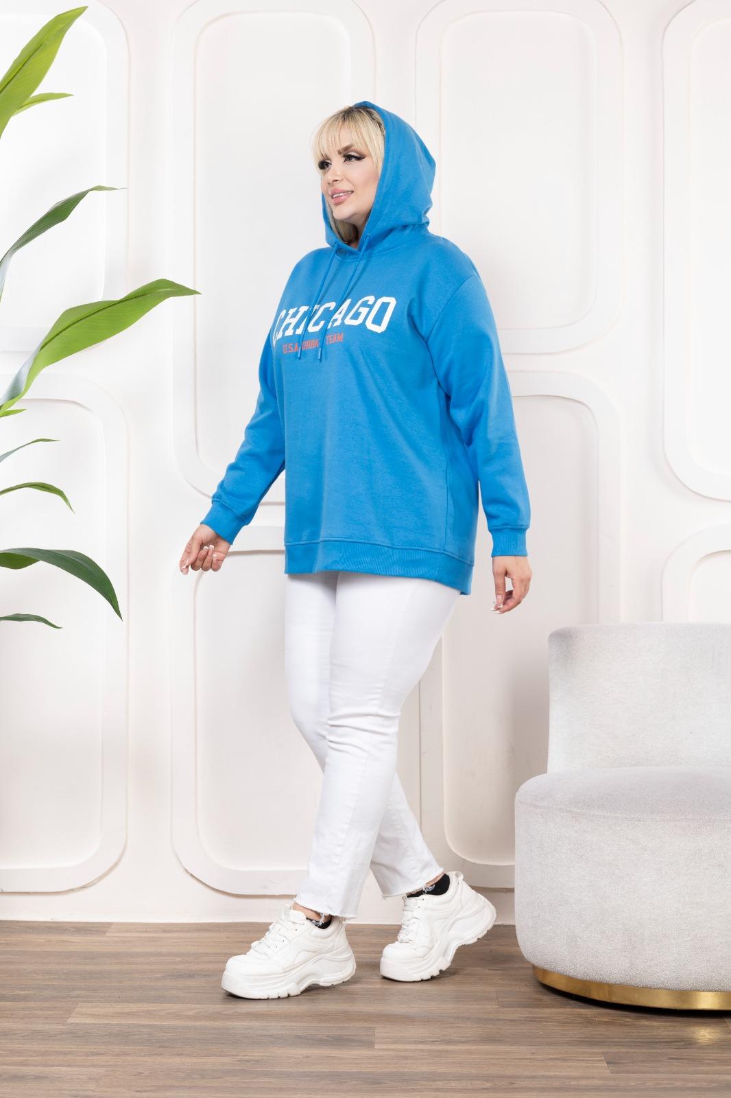 Mavi baskılı şardonlu sweatshirt 