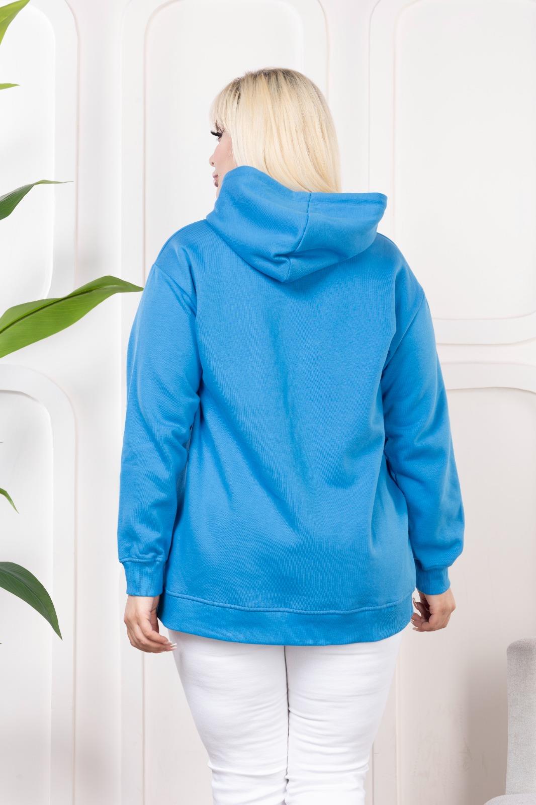 Mavi baskılı şardonlu sweatshirt 