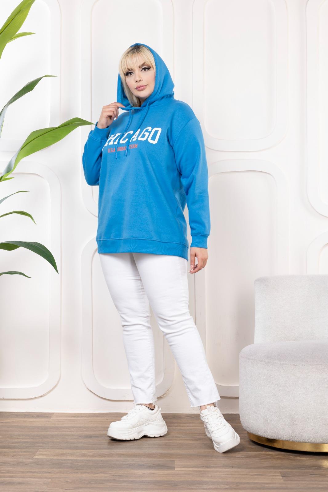 Mavi baskılı şardonlu sweatshirt 