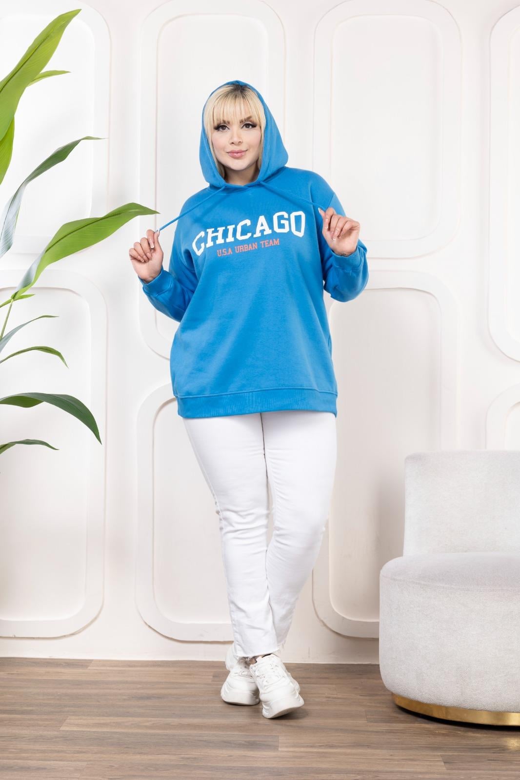 Mavi baskılı şardonlu sweatshirt 