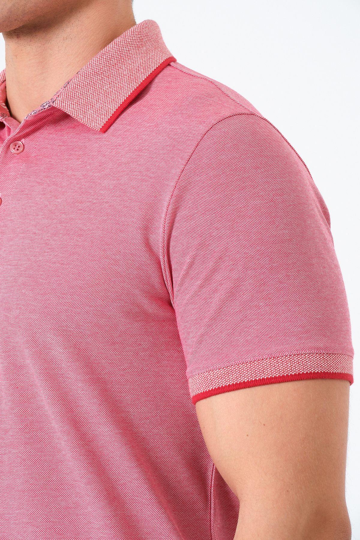 Erkek Basic Tişört Polo Yaka T-shirt