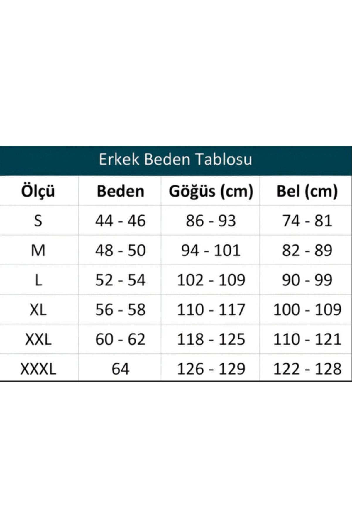 Erkek Basic Tişört Polo Yaka T-shirt