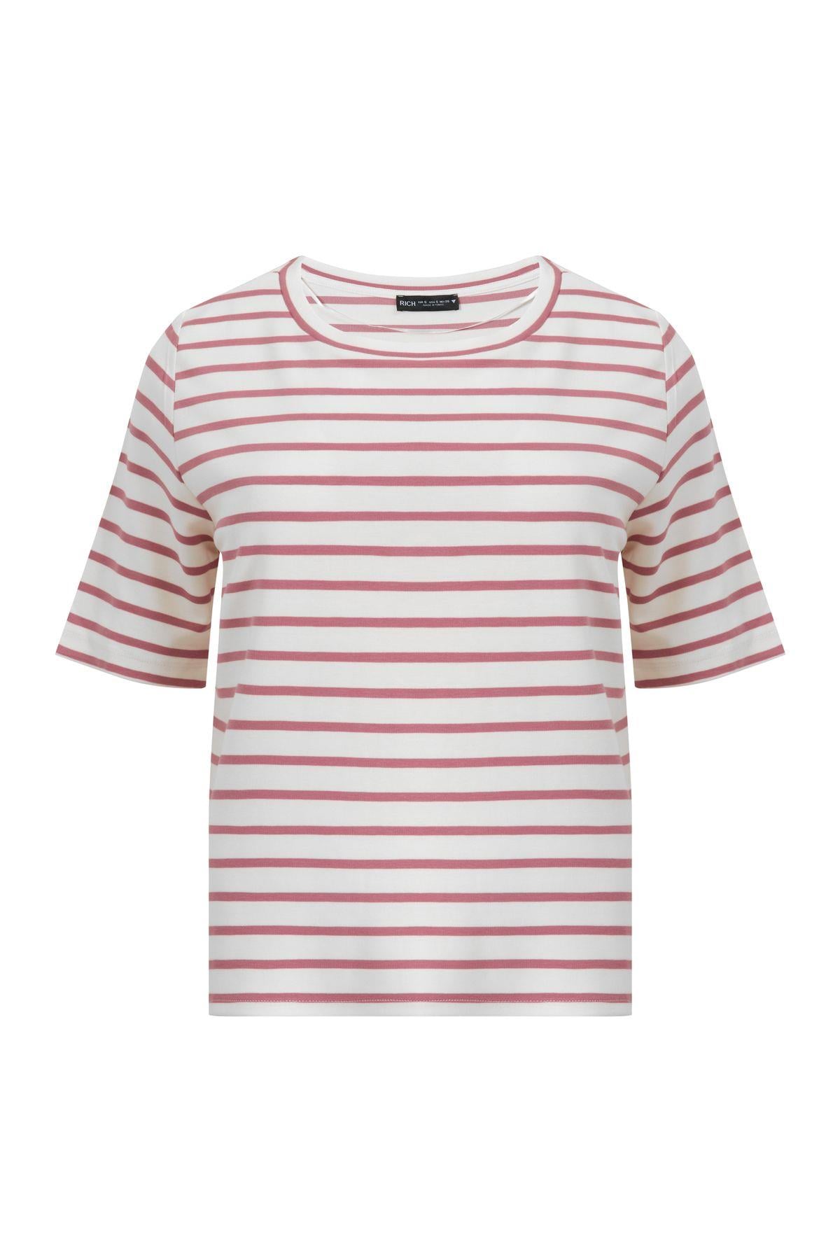 Kadın 3'lü Paket Bisiklet Yaka Kısa Kollu T-Shirt