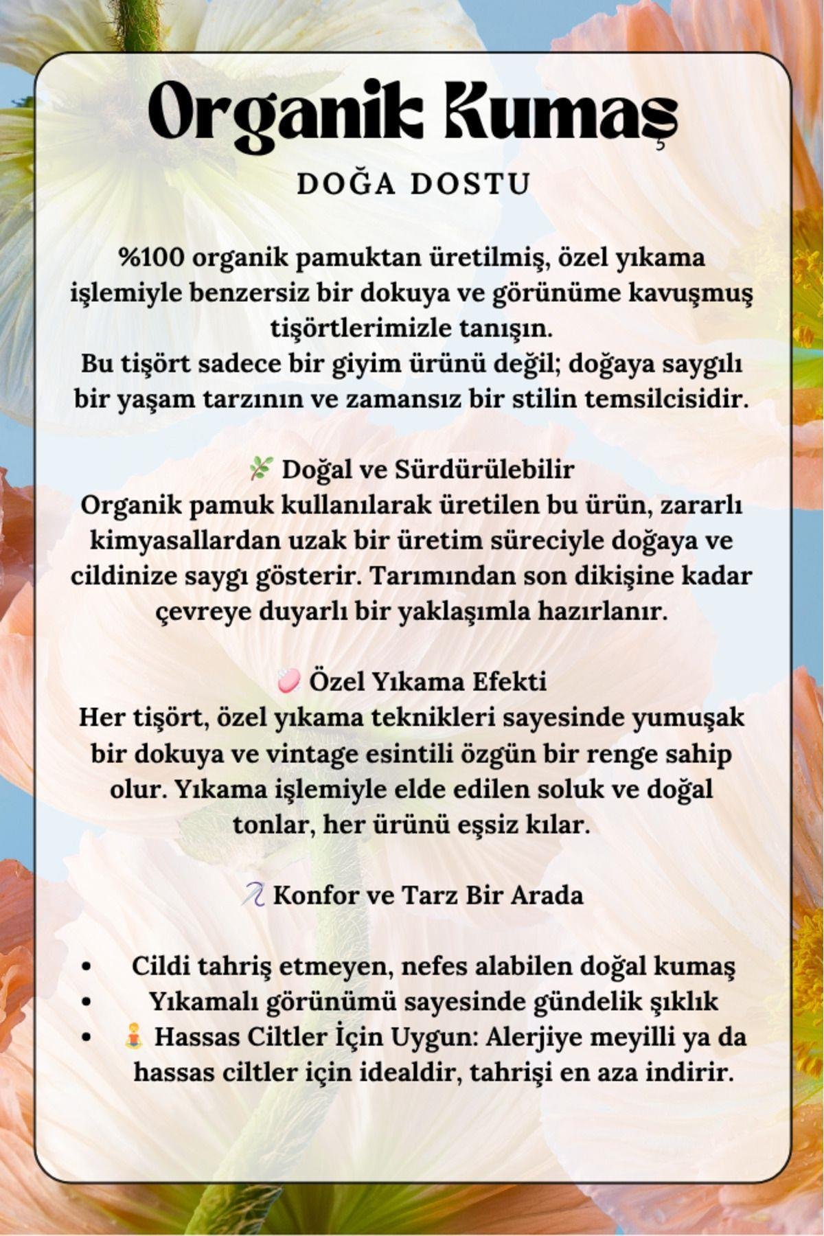 Kadın 3'lü Paket Sarı-Pembe-Mavi %100 Organik Pamuk Normal Kesim Tişört Bisiklet Yaka T-Shirt