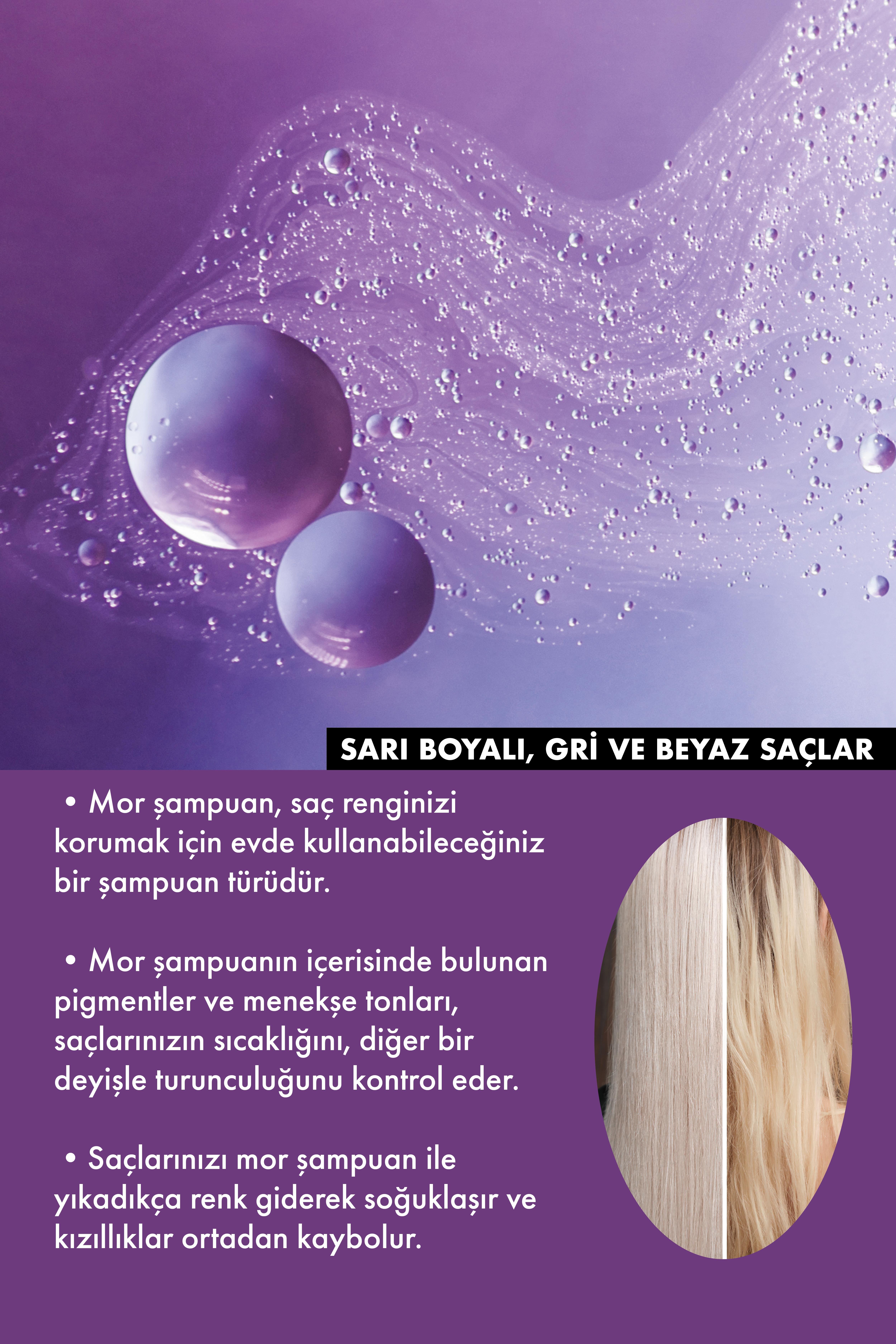 Ceylinn Silver Şampuan 500 ML