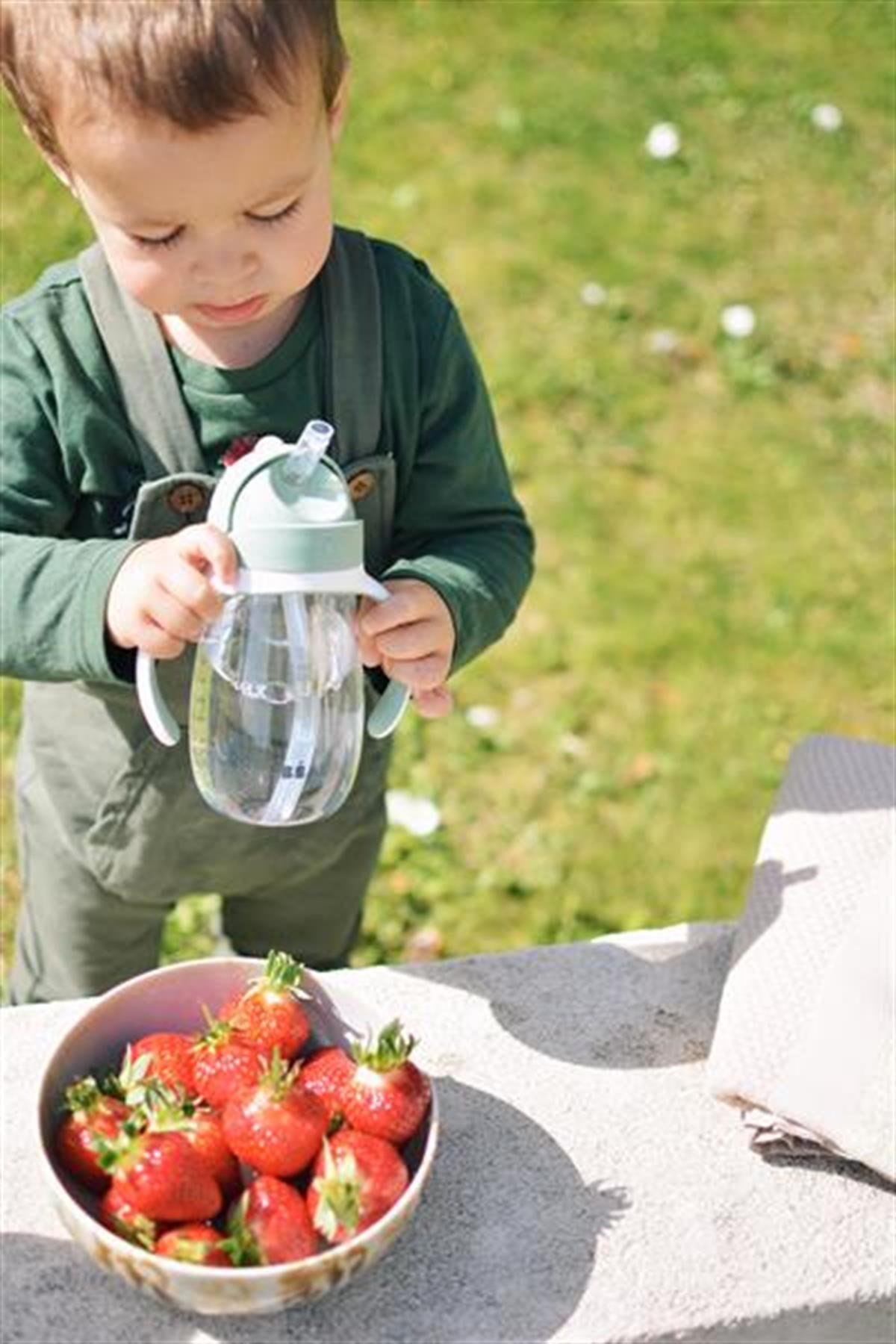 300 ml Şeffaf Pipetli Suluk Sage Green