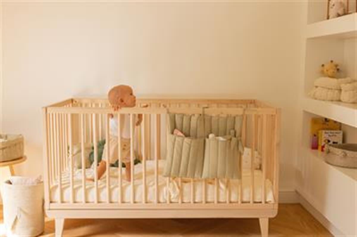 Benjamin Beşik Yanı Düzenleyici, Olive