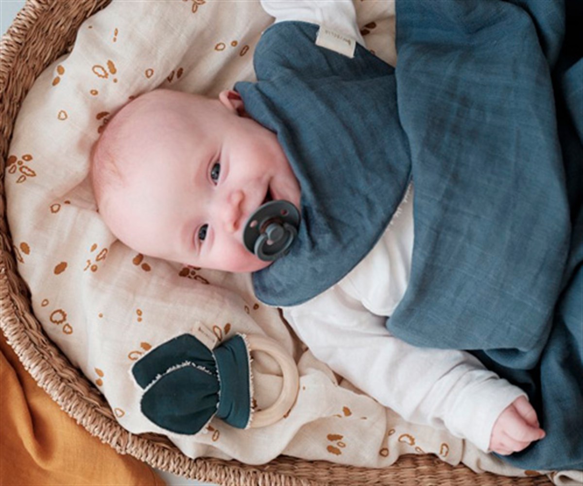 Bibs Emzik Island Sea ( 0 - 6 Ay )