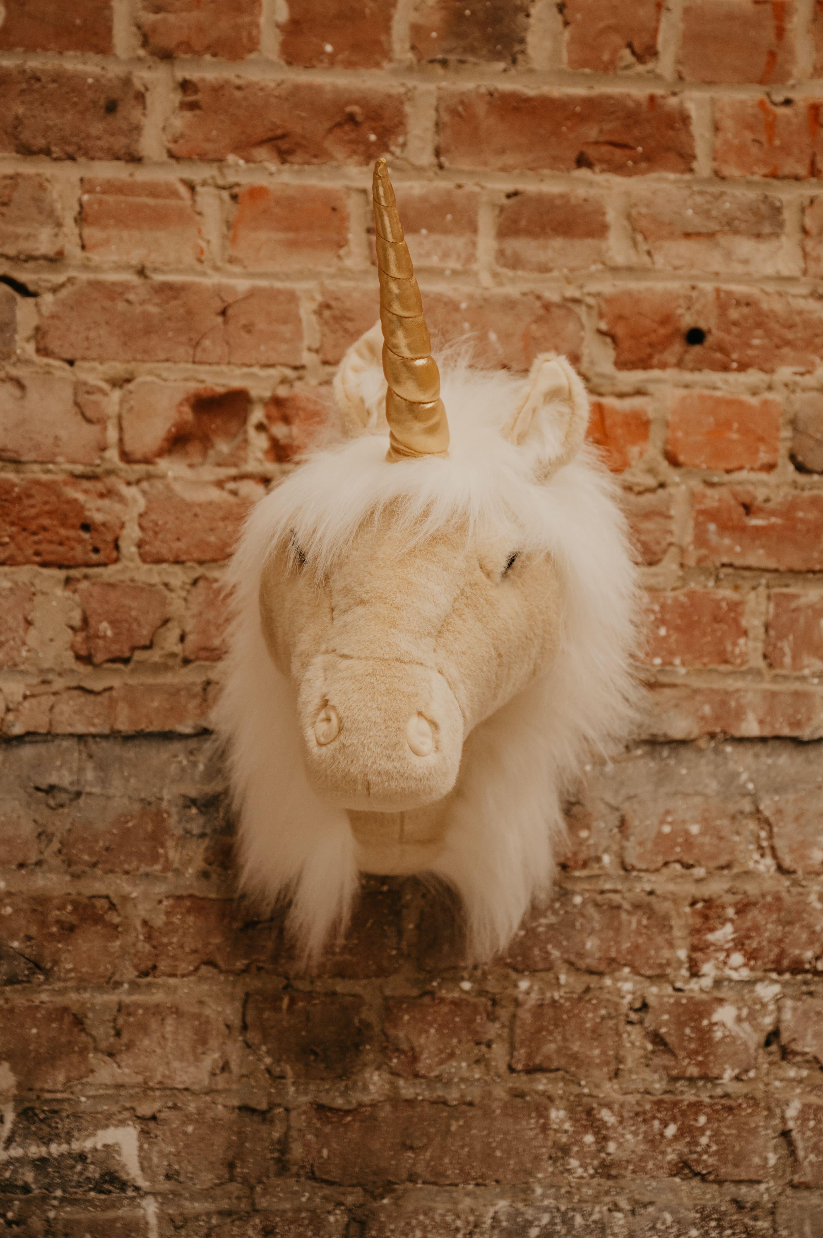 Duvar Aksesuarı, Bej Unicorn Fay