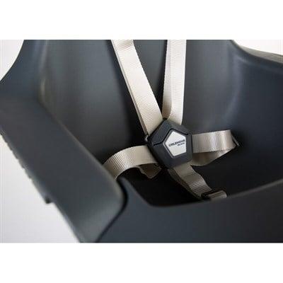 Evolu 2 Mama Sandalyesi, Naturel / Antrasit + Antrasit Tepsi + Silikon Mat