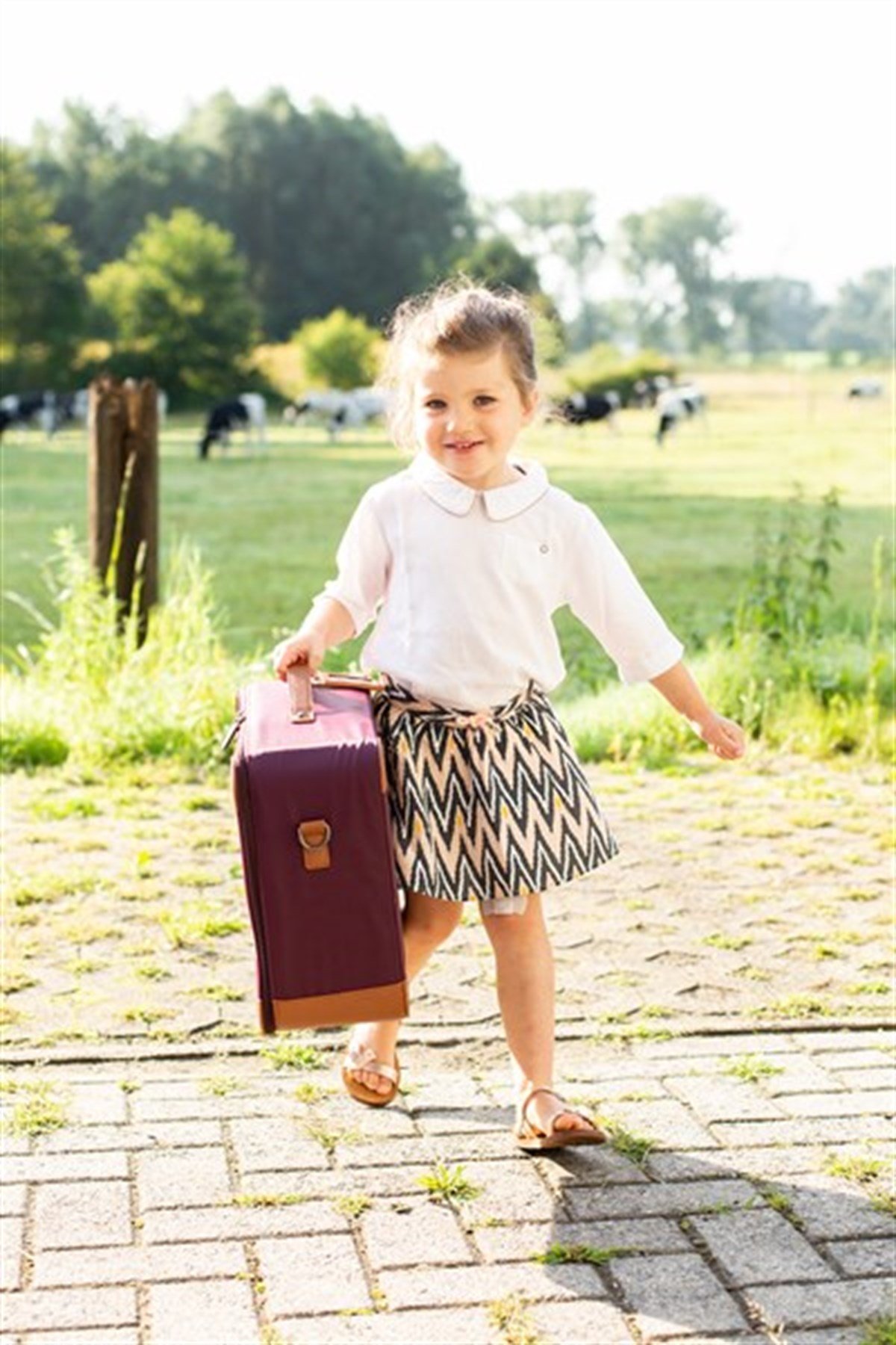 Mini Traveller Valiz, Mor