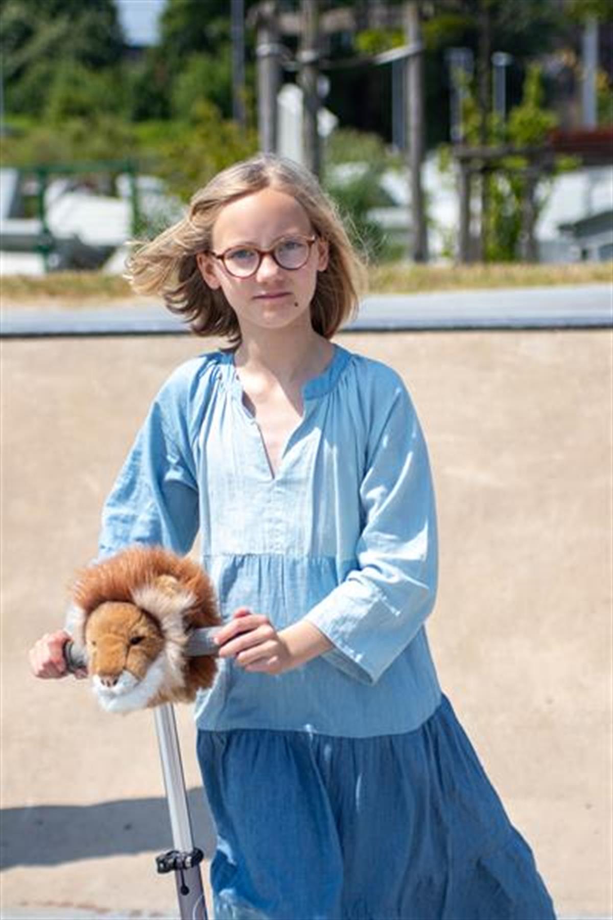 Scooter Aksesuarı, Aslan