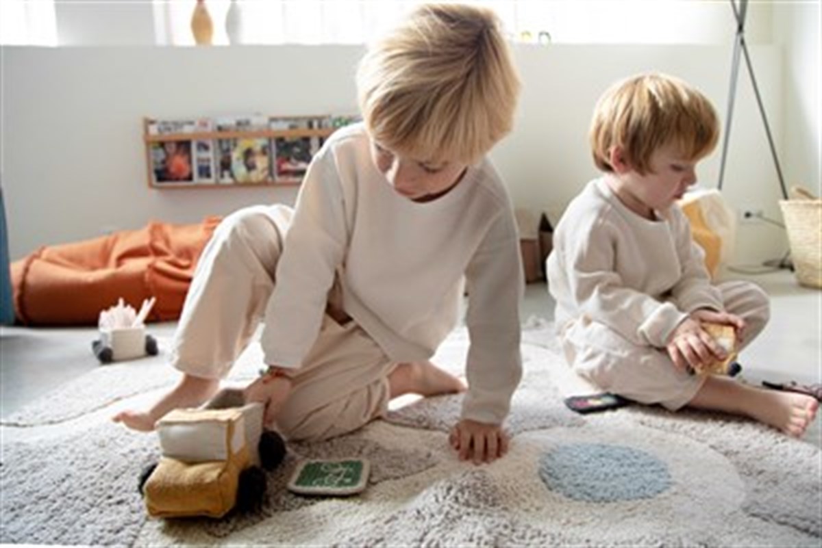 Sepet, Set of ,Mini Truck