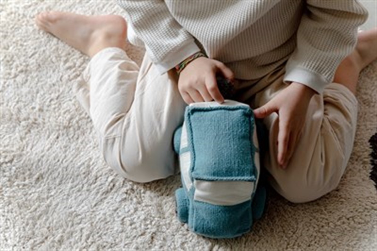 Soft Toy, Ride & Roll Safari