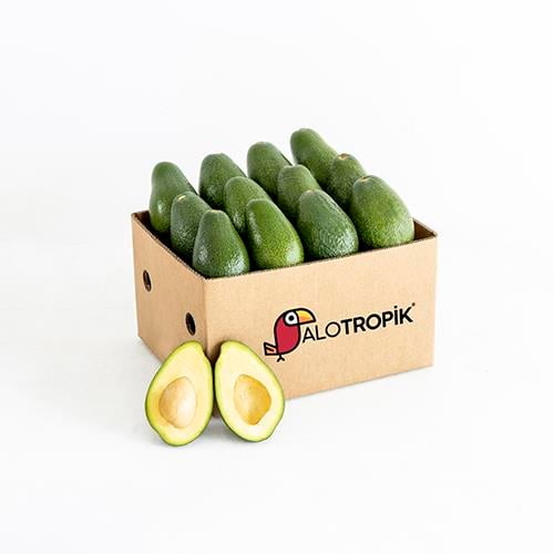 Avokado 12 Adet 200gr - 300gr arası