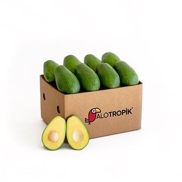 Avokado 8 Adet 200gr - 250gr arası