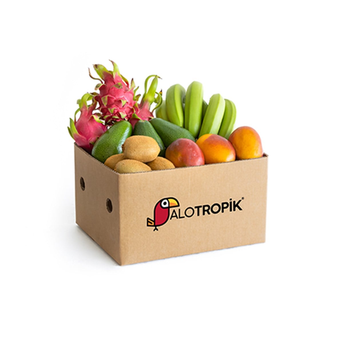 Egzotik Smoothieler