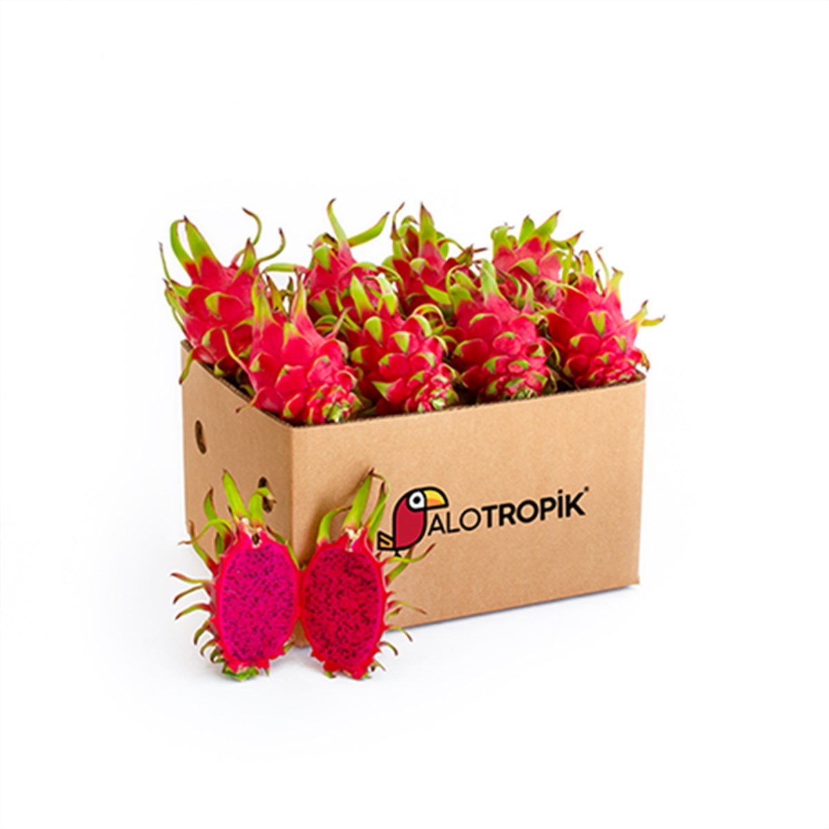 Ejder Meyvesi (Pitaya) 8 Adet 320gr üstü