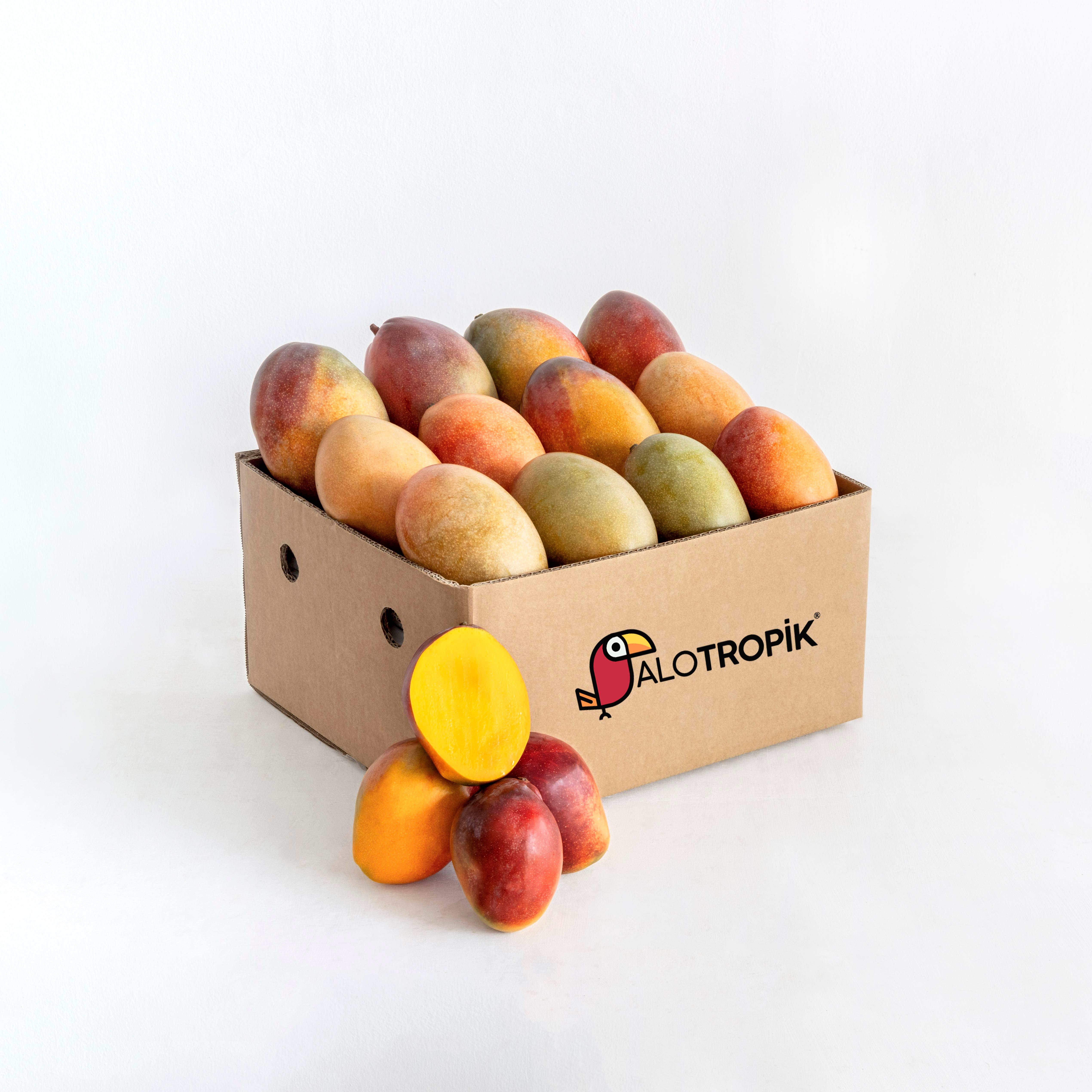 Mango 12 Adet 400gr üzeri