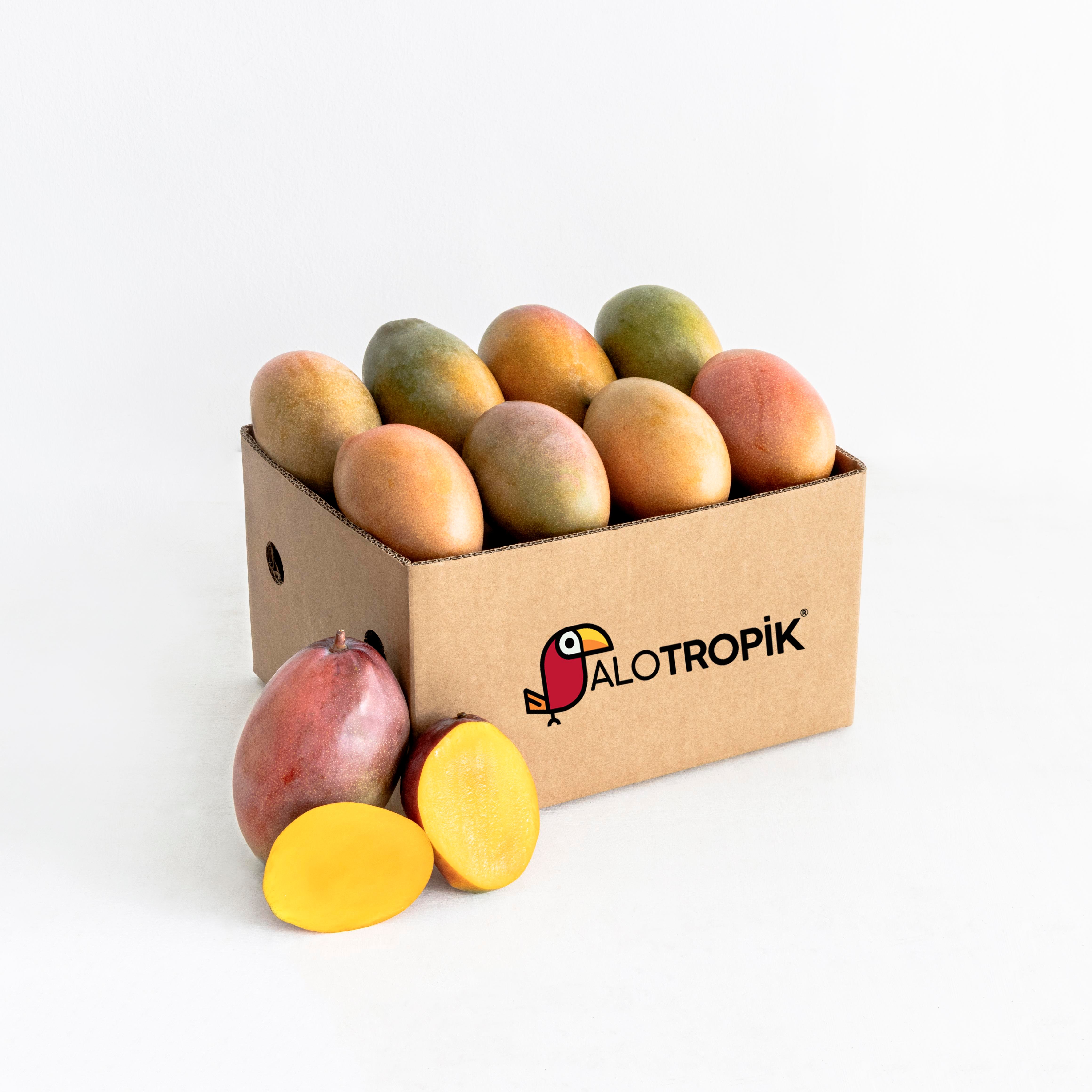 Mango 8 Adet 500gr üzeri