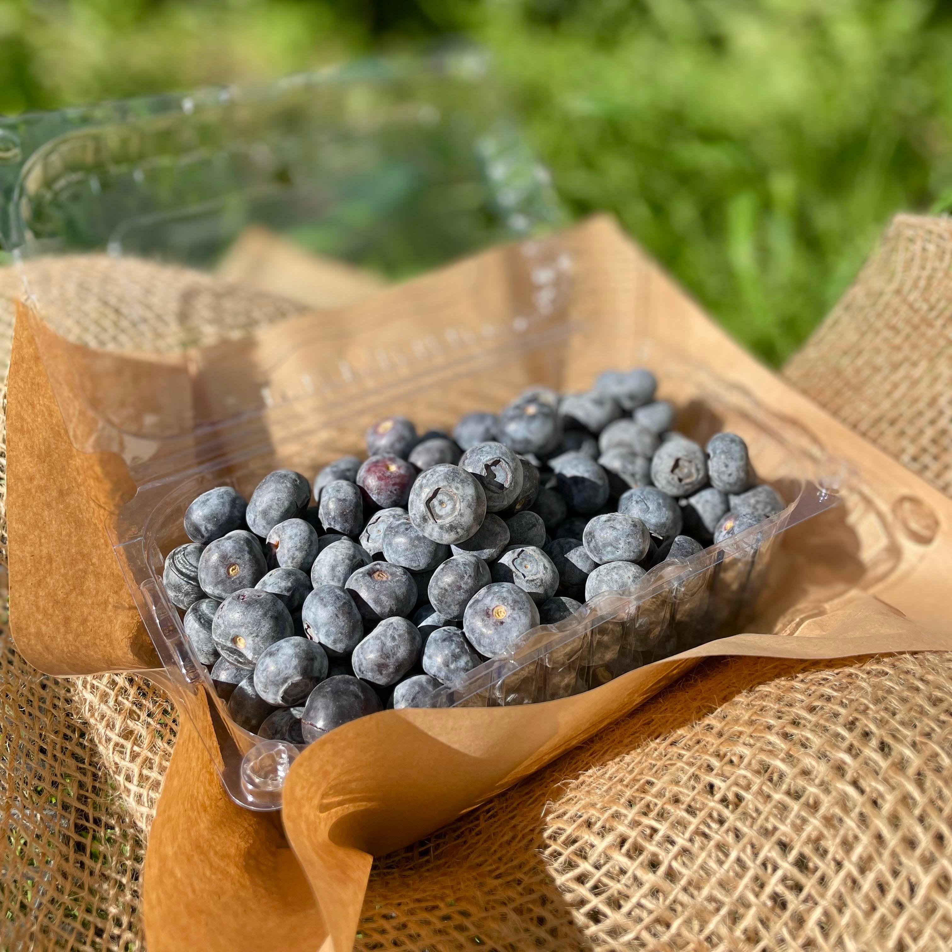Yaban Mersini (Blueberry) 500 gr