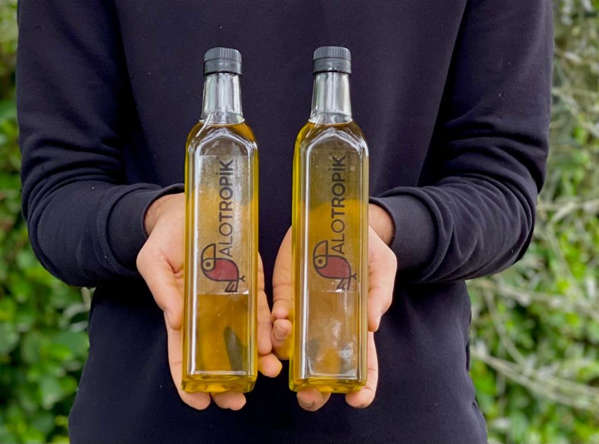 Zeytin Yağı 500 ml