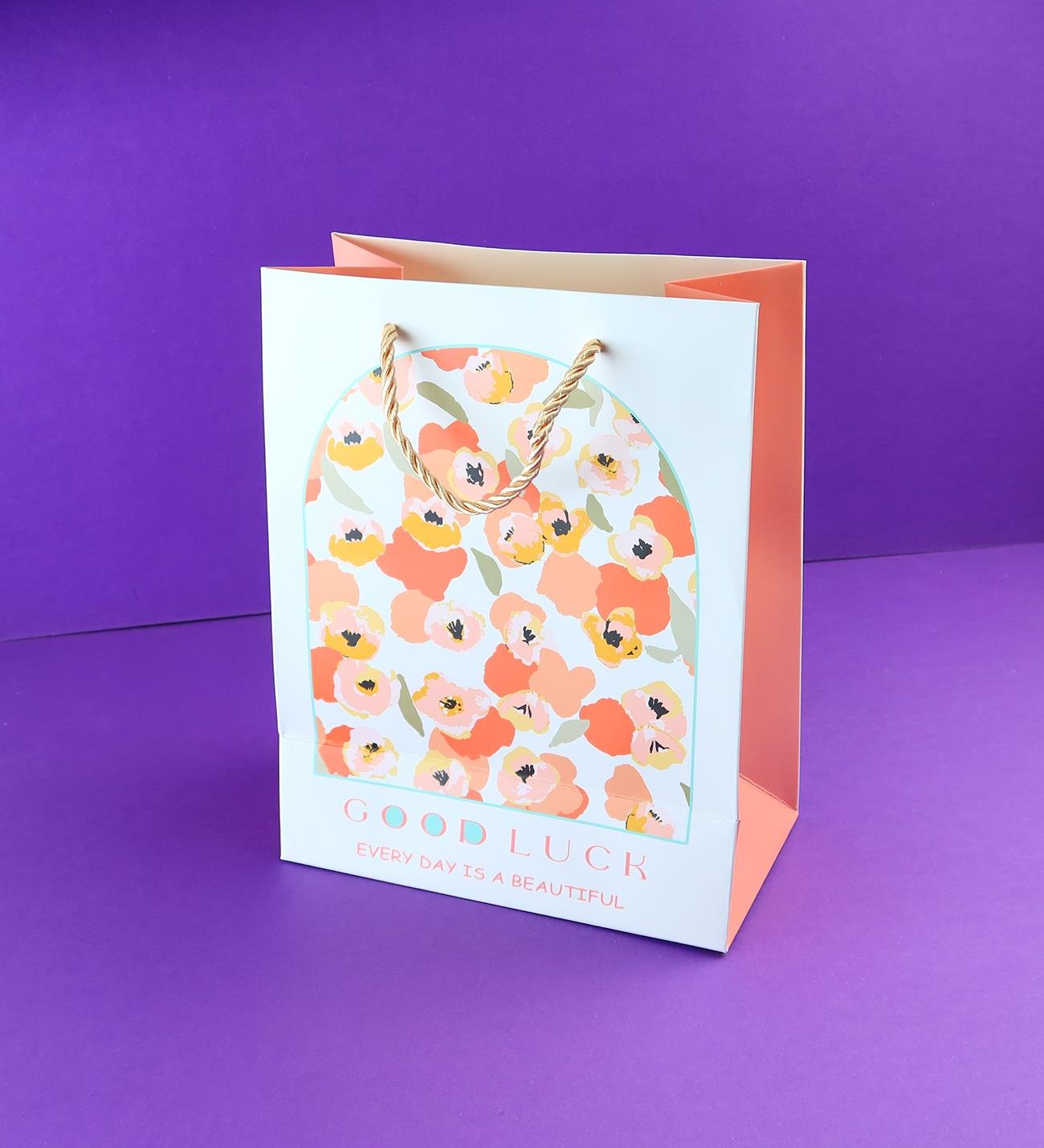  Karton Çanta 23x18 Cm  x12