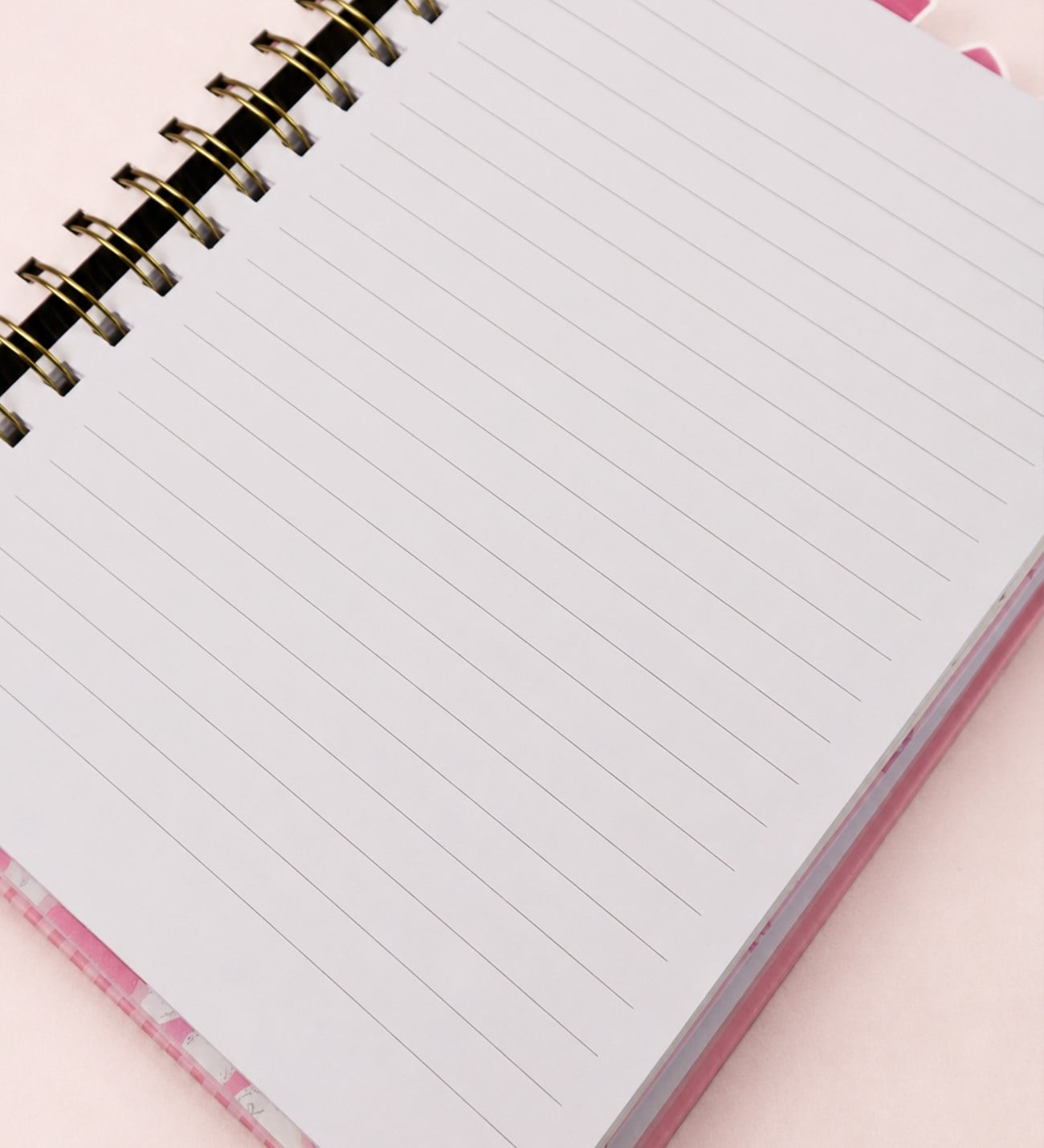 2569 18*22 cm. 4 Bölmeli 100 yaprak Kurdela Tasarımlı Çizgili defter ve 10 renk Tükenmez Kalem Set 