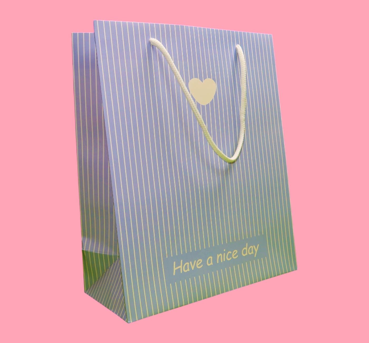 Bam 2103 Renkli Karton Çanta 32x26x12 cm x12